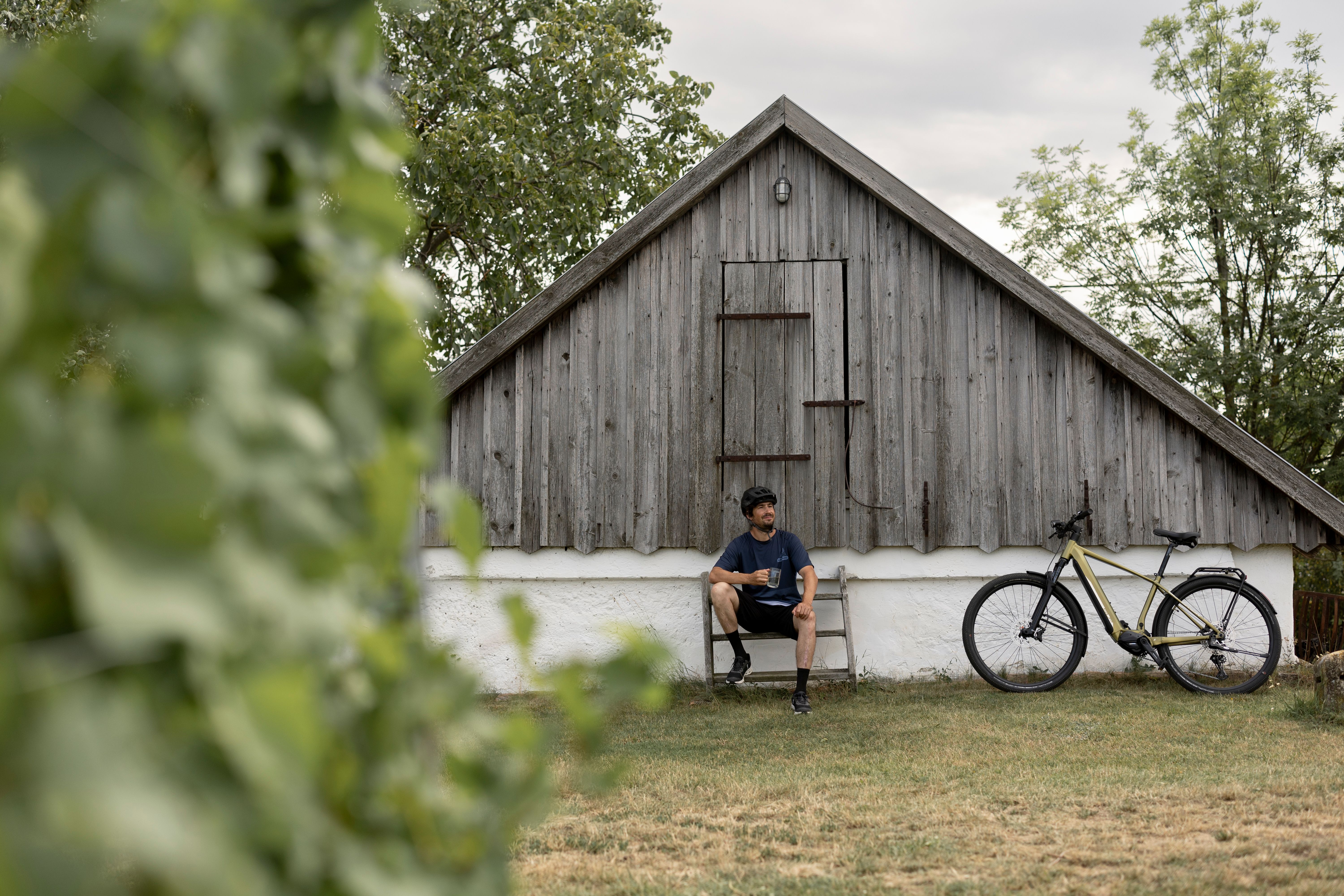 A picturesque wine cellar lane with white press houses and blooming lilacs in the foreground.