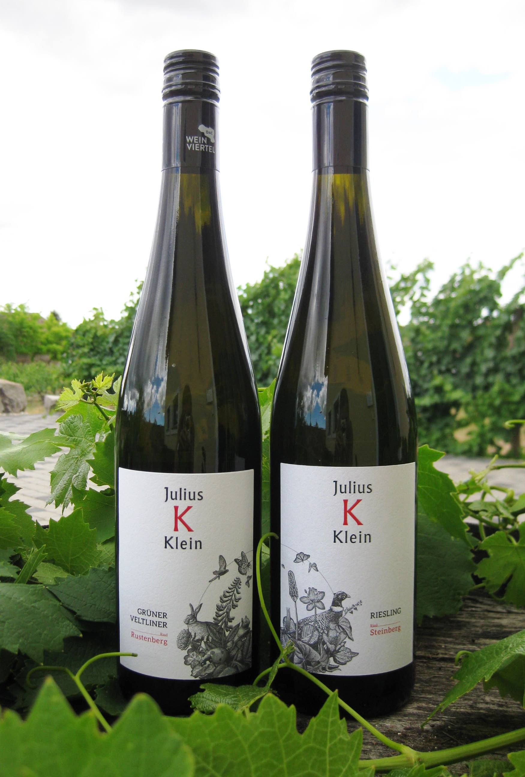 Two Julius Klein wine bottles in a vineyard.