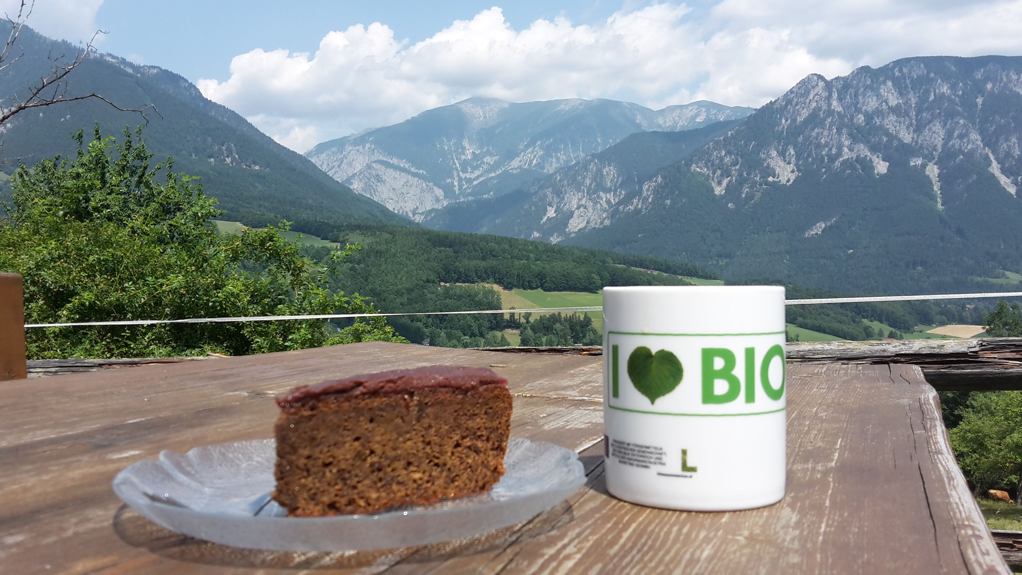 A piece of cake and a cup with the inscription 'I love BIO' on a wooden table in front of a mountain landscape.