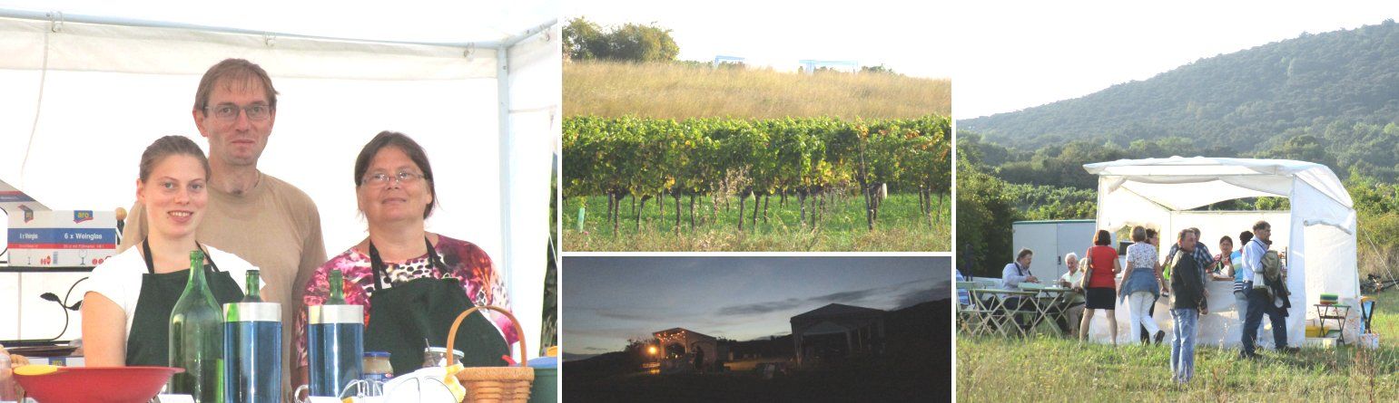 People at a stand on the Genussmeile 2014, vines and landscape in the background.