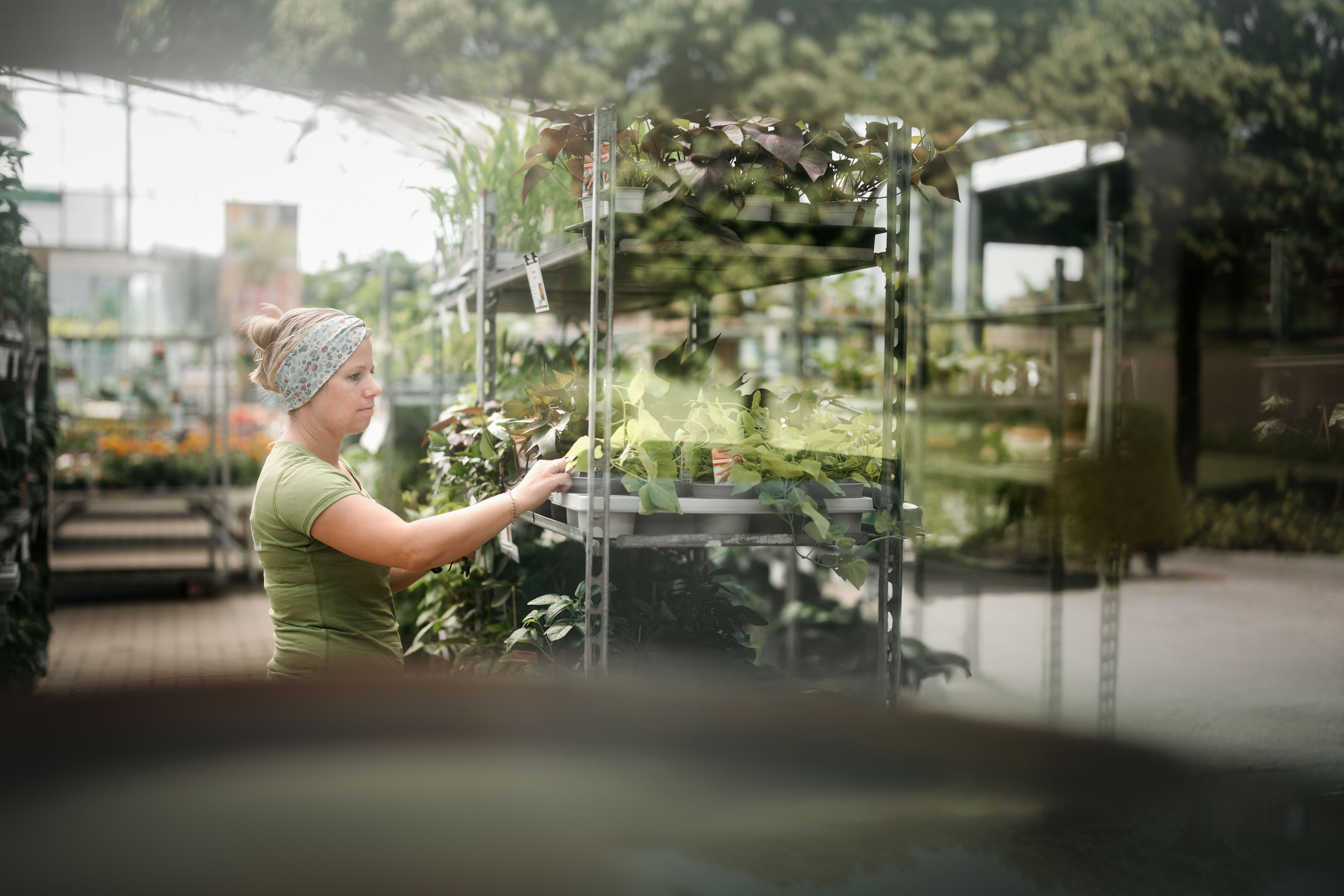 Starkl adventure garden