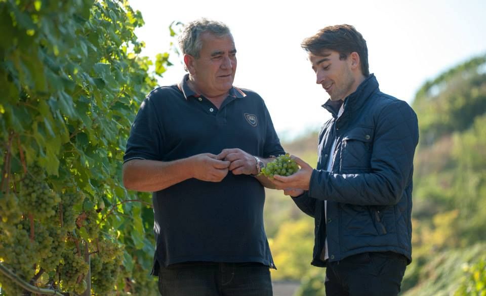 Two men are standing in a vineyard looking at a bunch of grapes.