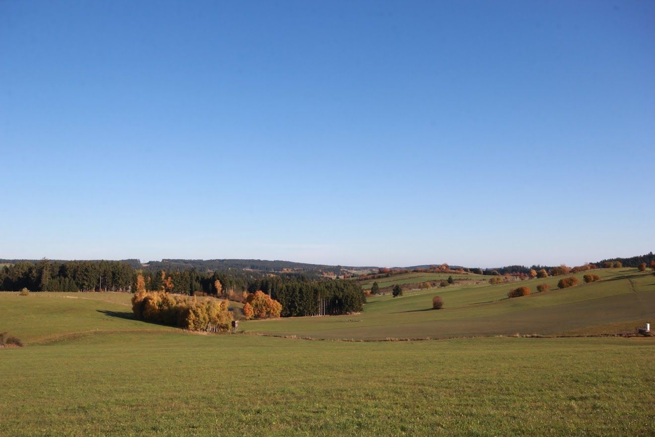Green fields and hills