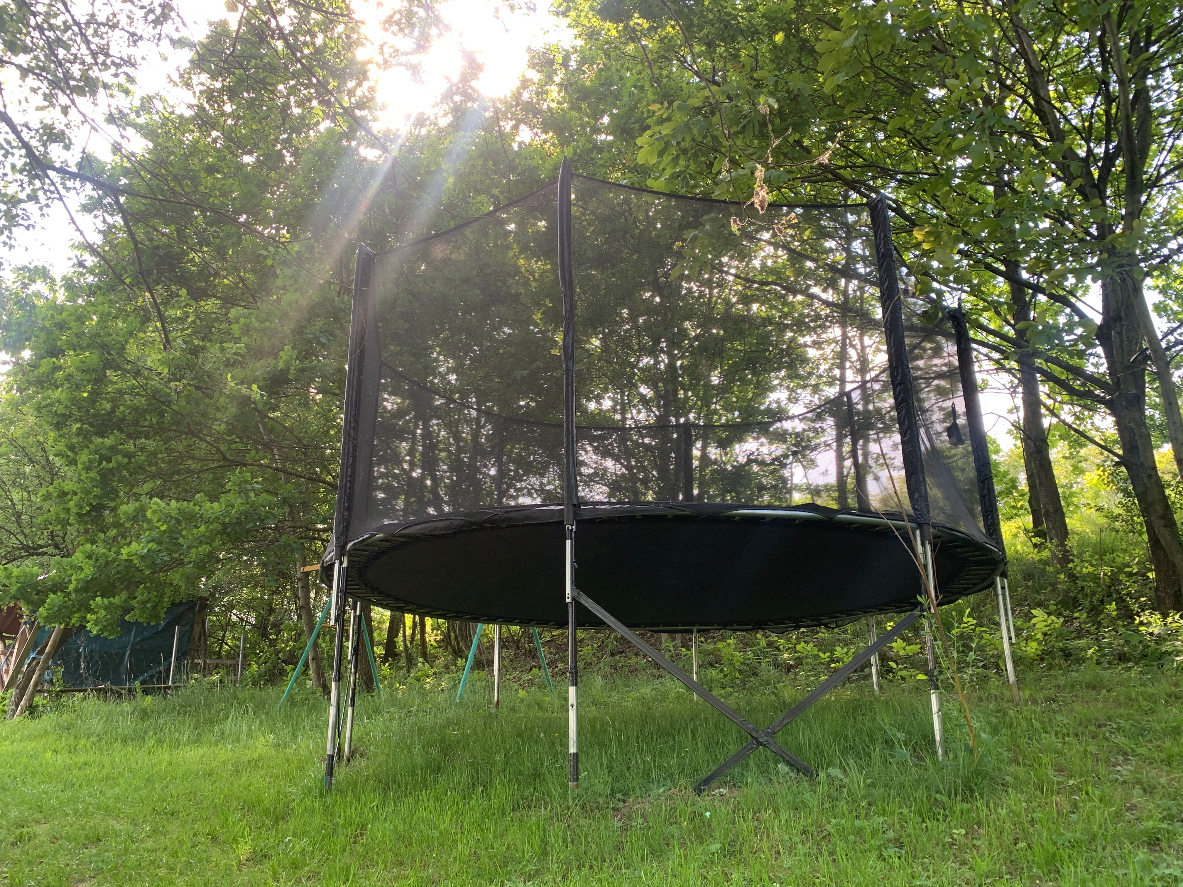 A trampoline with a safety net stands in a meadow surrounded by trees. Rays of sunshine shine through the canopy.