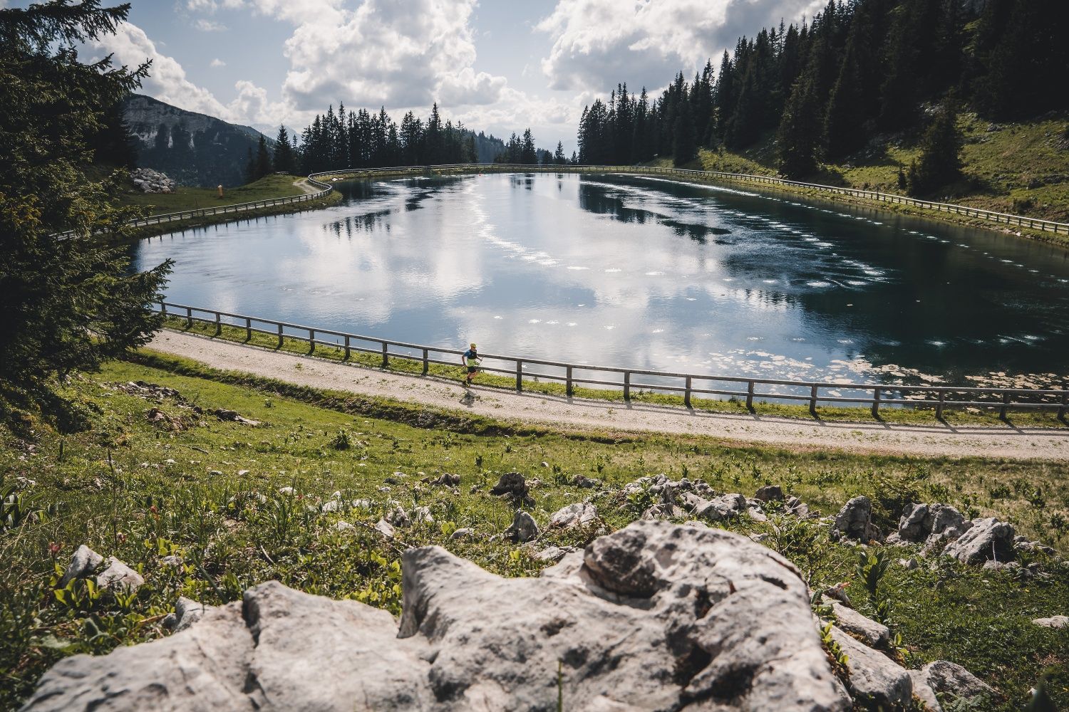 Pond tour