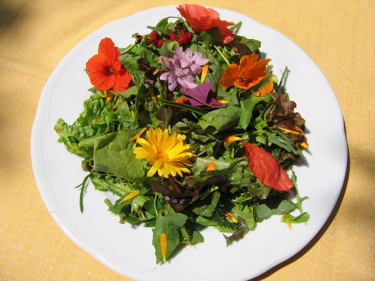 A plate with wild herb salad and edible flowers on a yellow tablecloth.