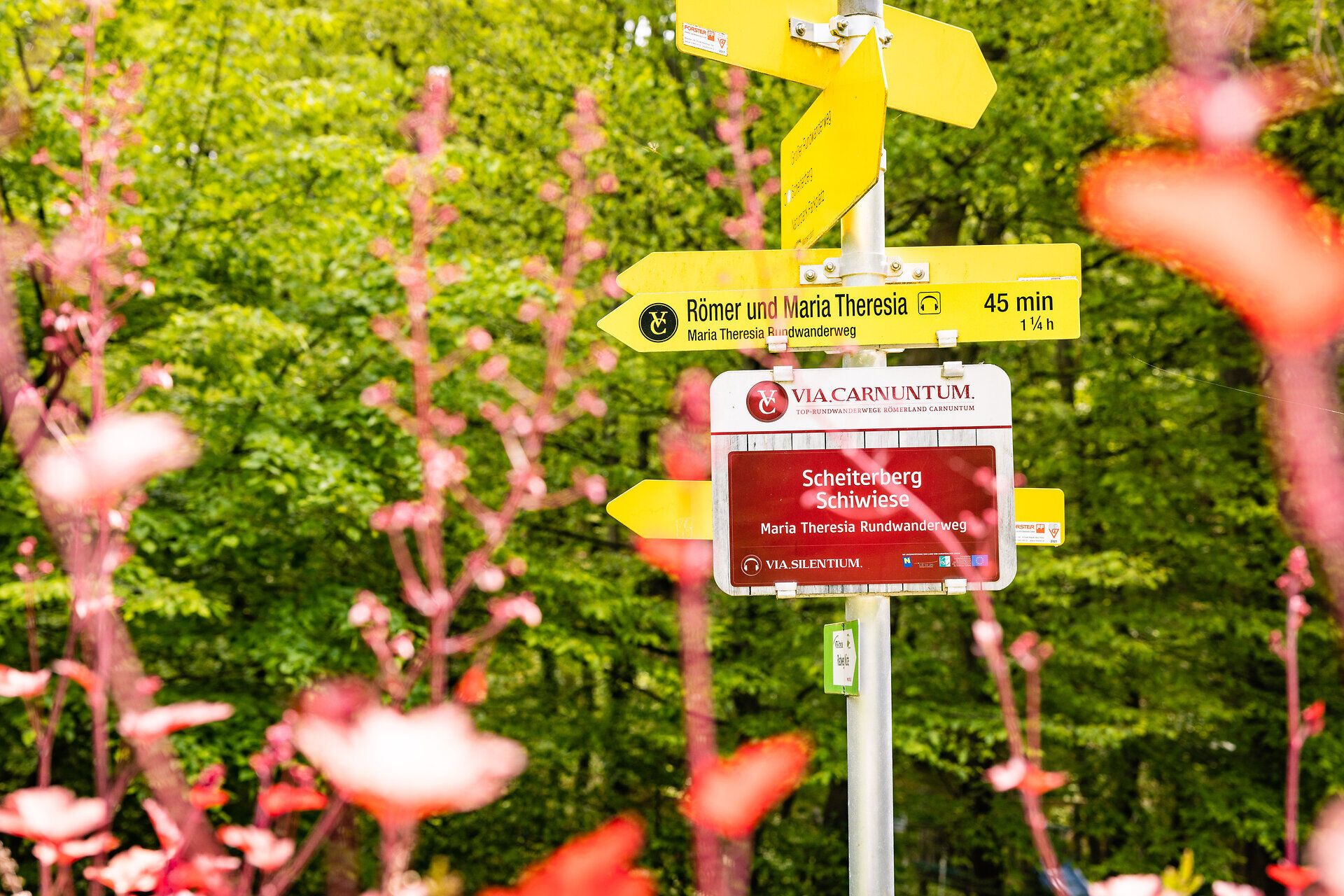 Stand with several hiking signs.