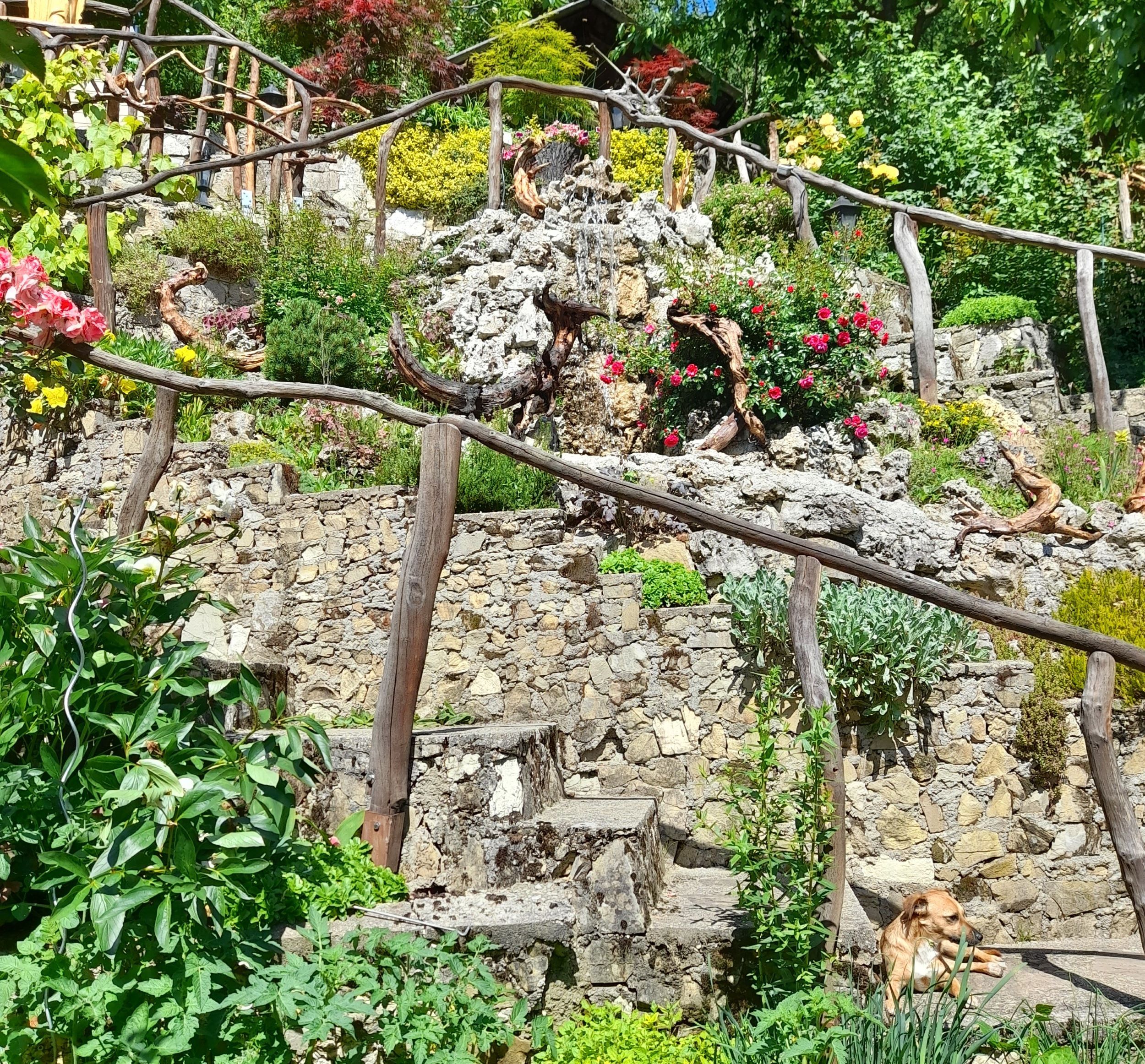Rock garden with flowers, wooden railing and dog.