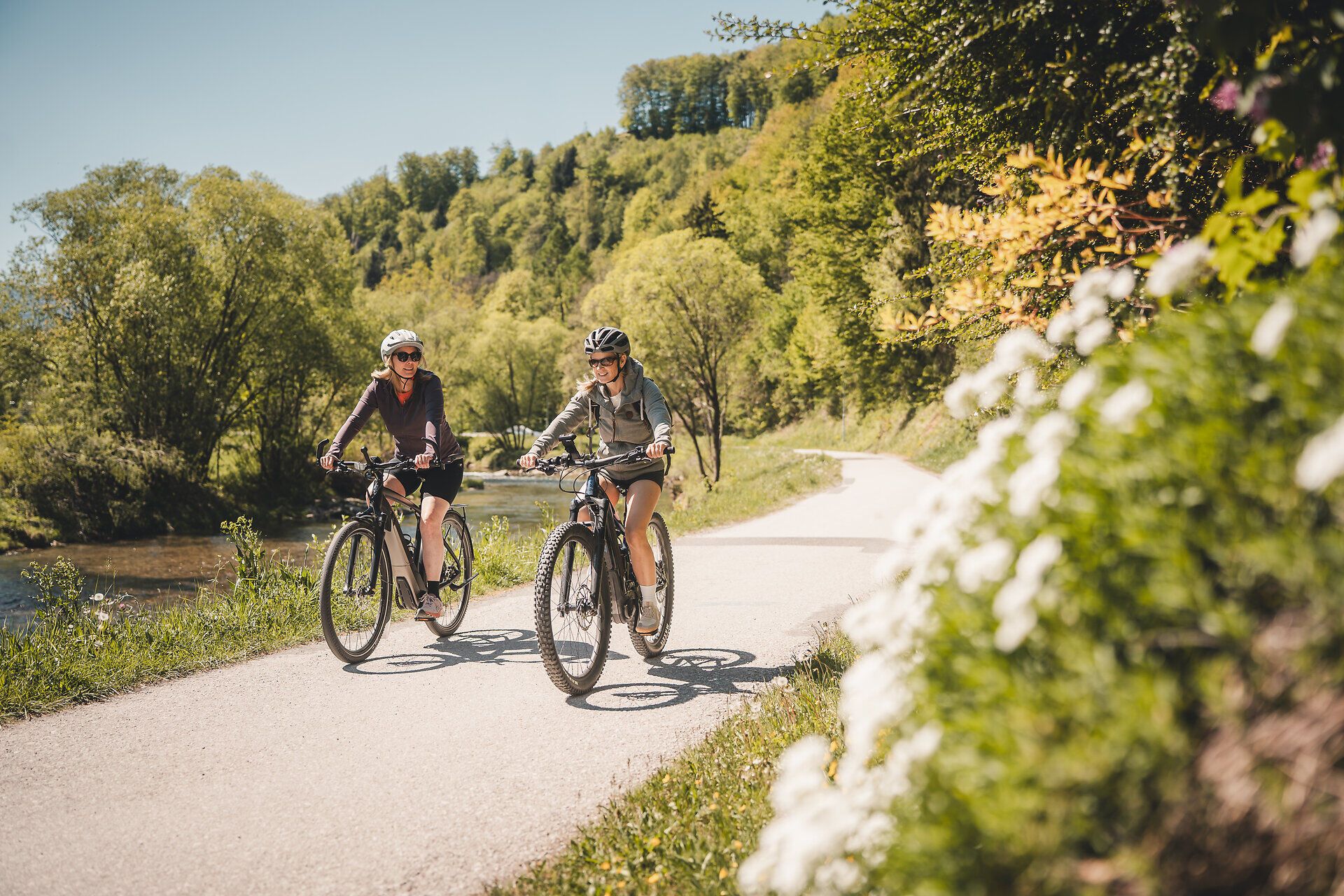 Two cyclists ride along the Traisental cycle route, which leads through wooded areas.