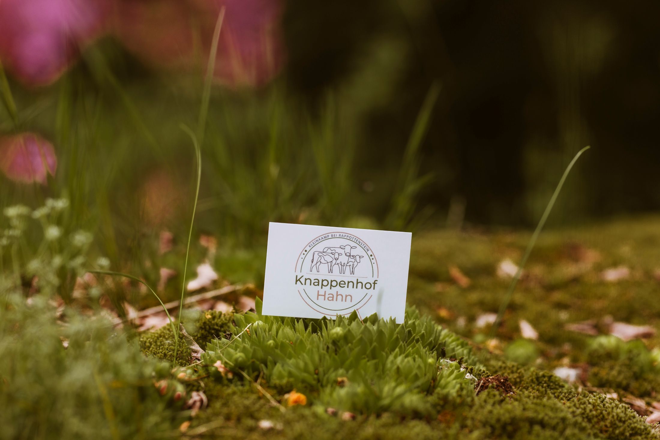 A business card of Knappenhof Hahn lies on moss in the open air.