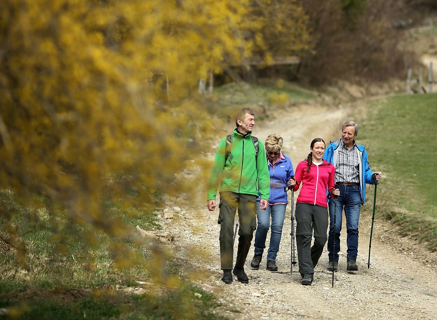 Hiking through the Pielach Valley