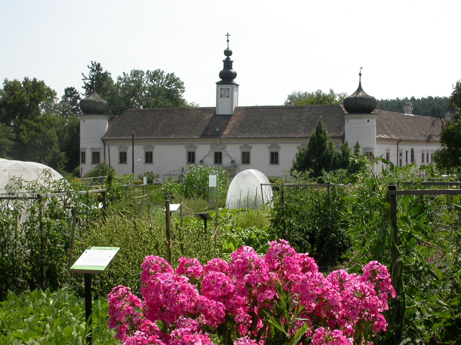 Baroque building with onion domes behind a flowering garden.