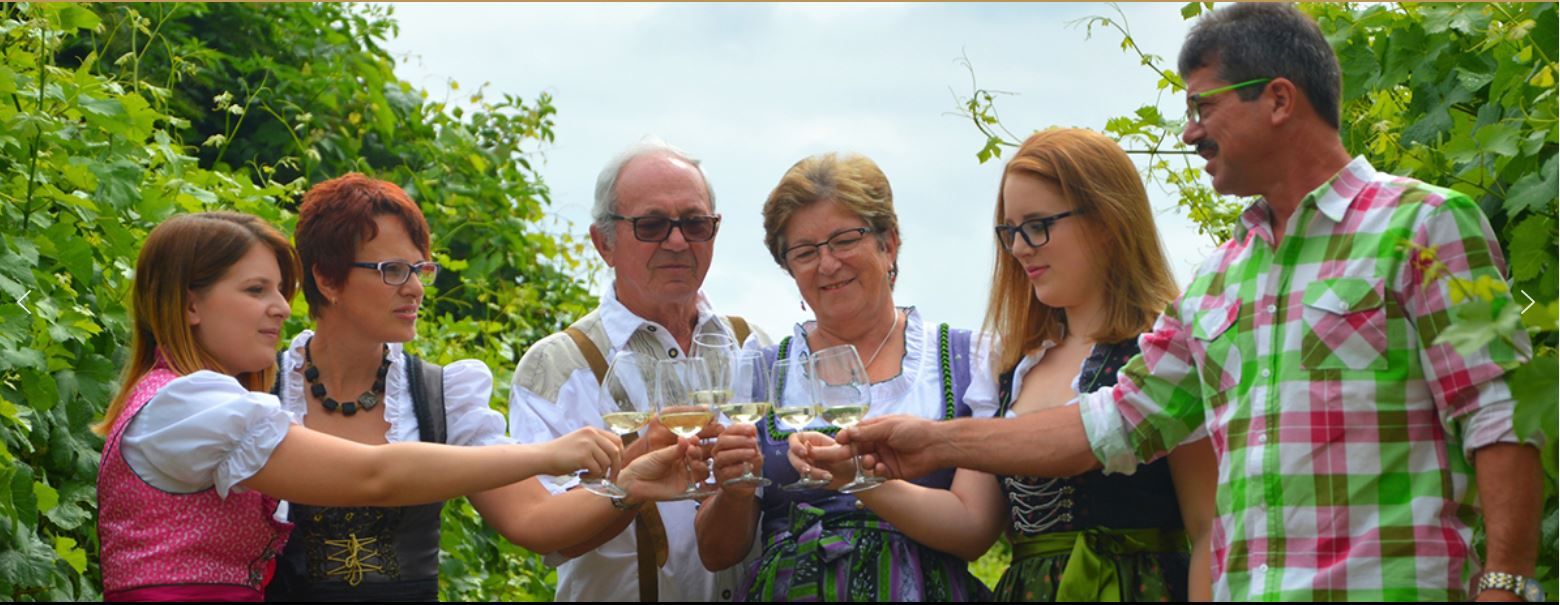 Viticulture Angerhof 