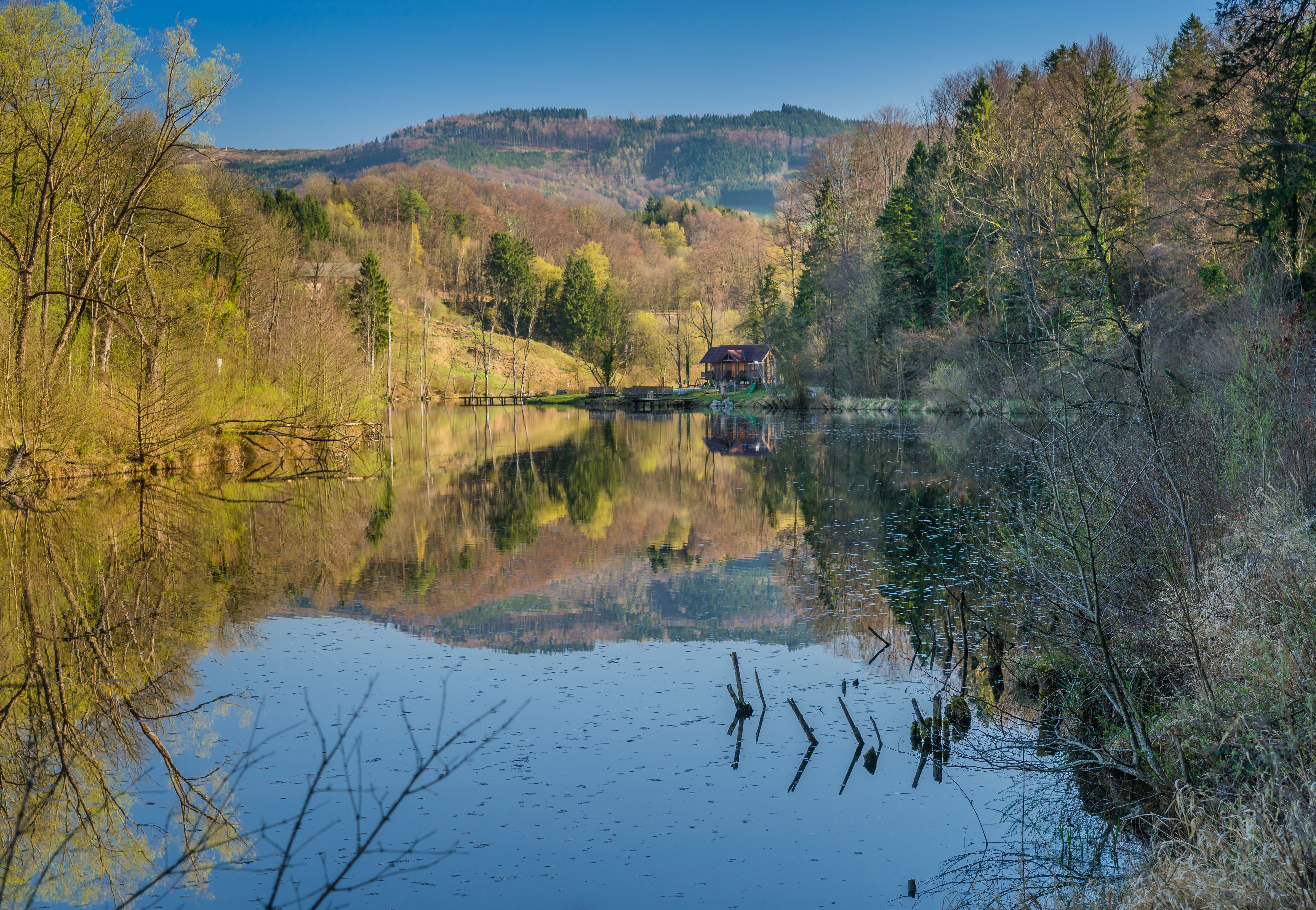 A calm lake with forest and hills in the background, reflected in the water.