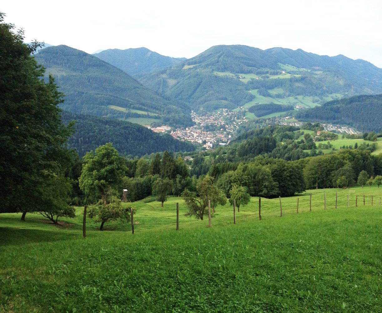 View from the Gschnaider Höhe of a green landscape with mountains and a village in the valley.
