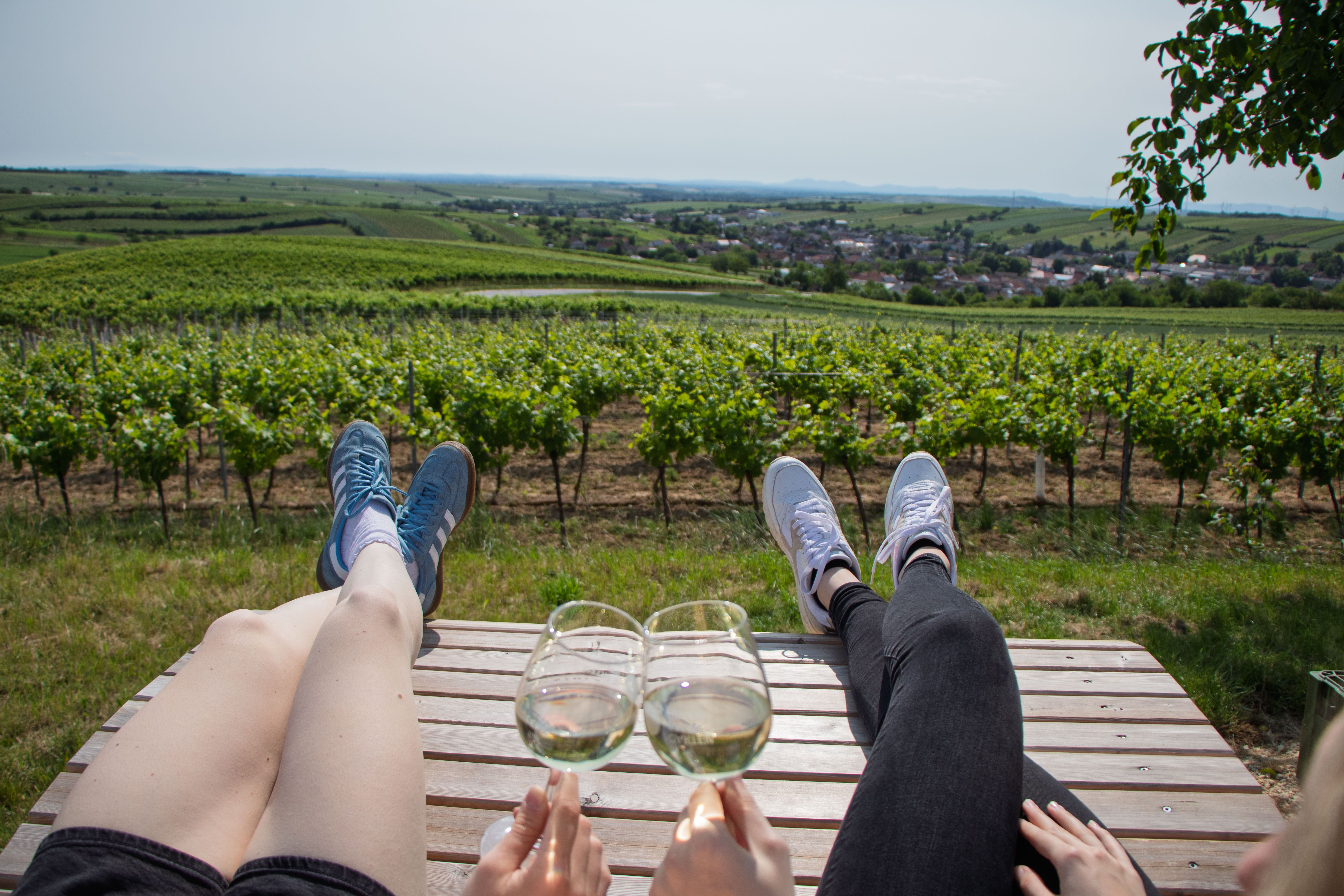 Two people are relaxing on a bench in a vineyard, taking in the view as they clink their wine glasses.