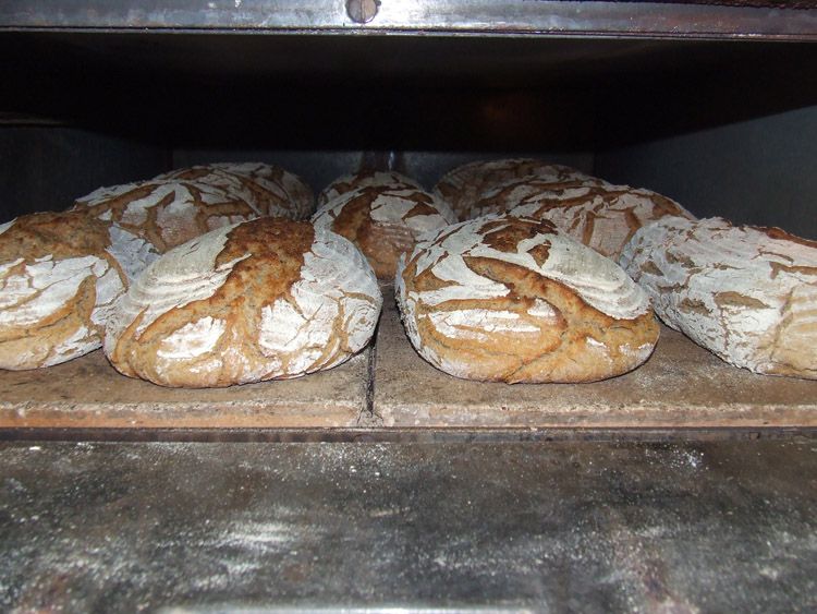 Farmer's bread and spelt bread
