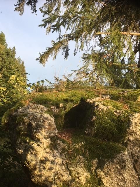 Dachlstein circular trail with Mariensitz