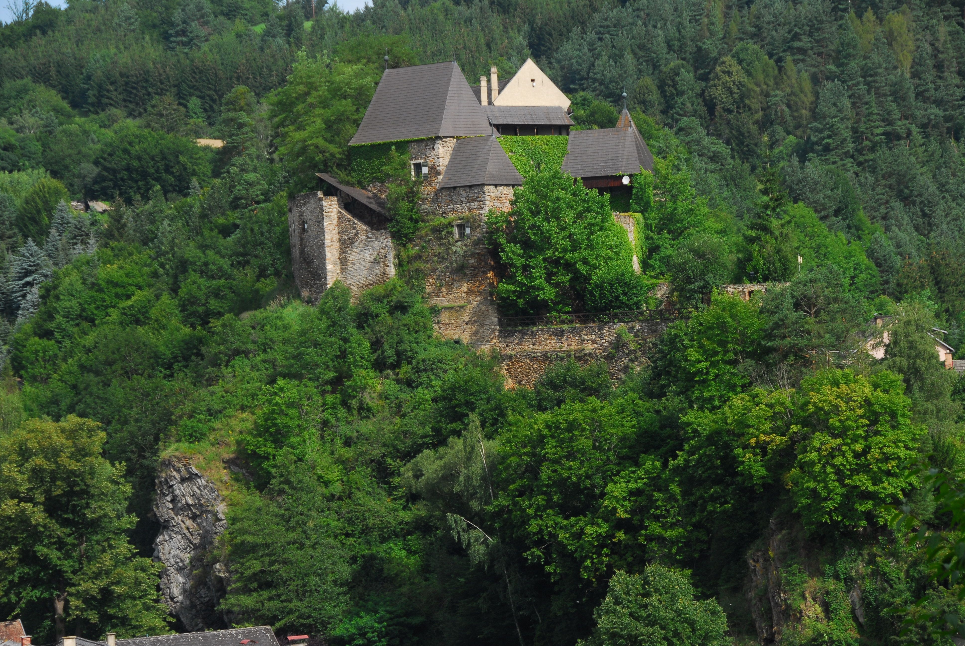 Castle surrounded by trees on a hill.