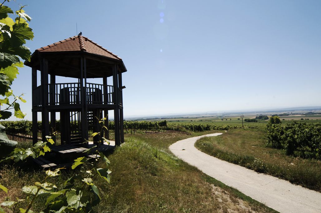 Observatory with a red roof in a vineyard landscape.