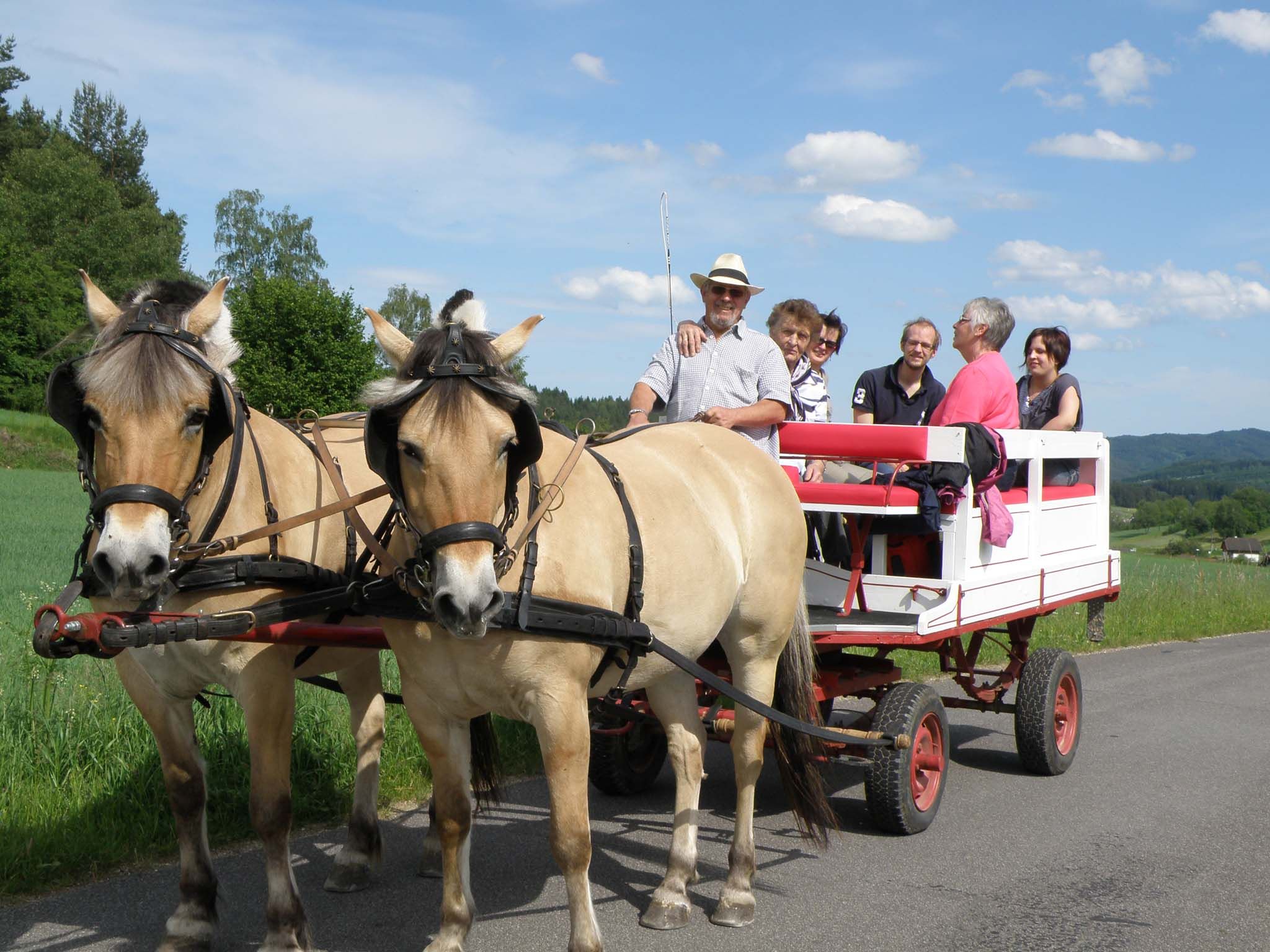 horse-drawn carriage ride