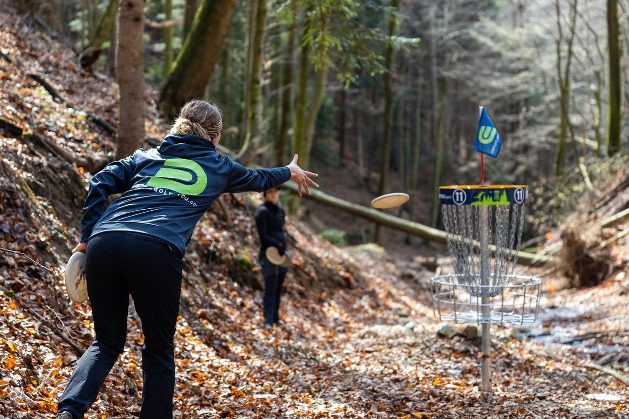 Person throws Frisbee into disc golf basket in the forest.