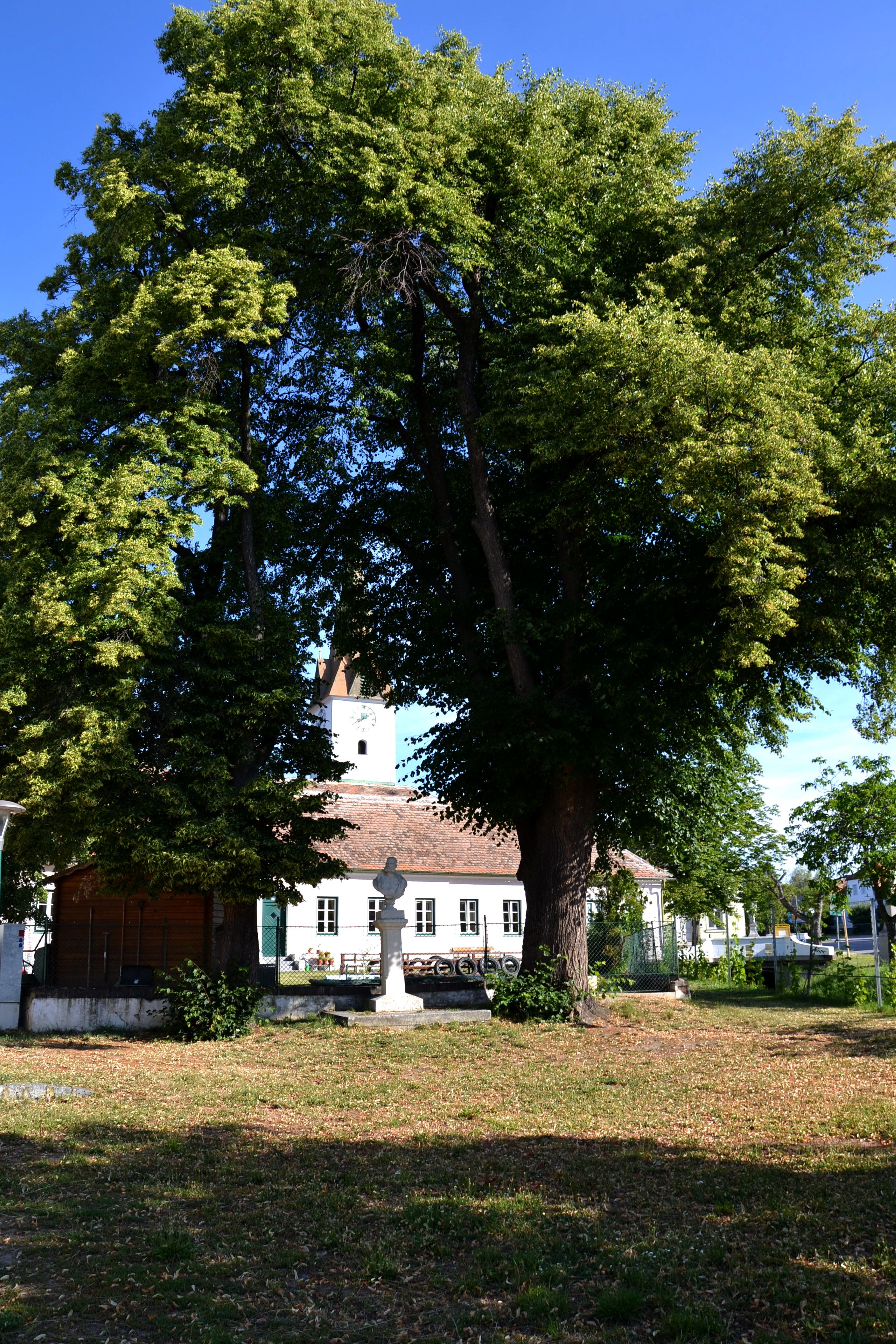 A square with large trees, a statue and a building in the background.