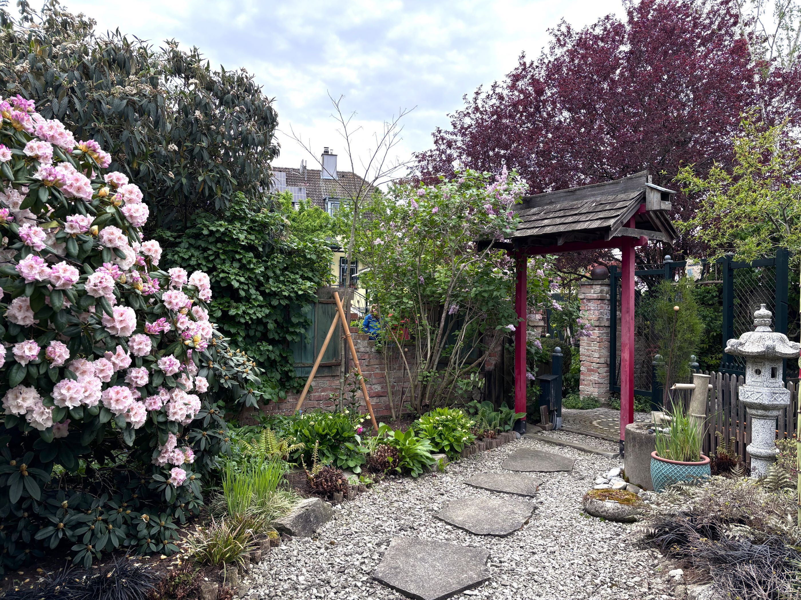 A well-tended garden with flowering rhododendrons, a Japanese torii and a stone lantern decor.