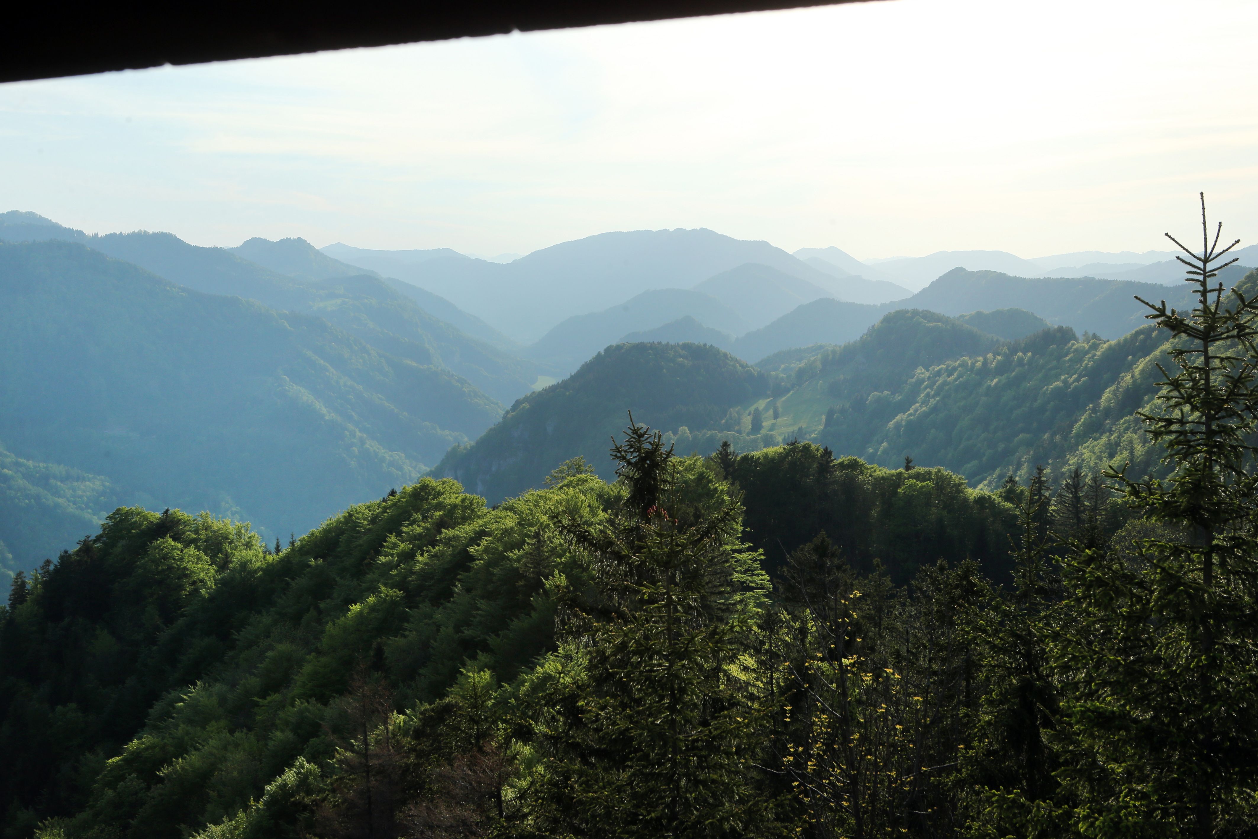 View from the Hochbärneck viewing platform of wooded hills and mountains in the distance.