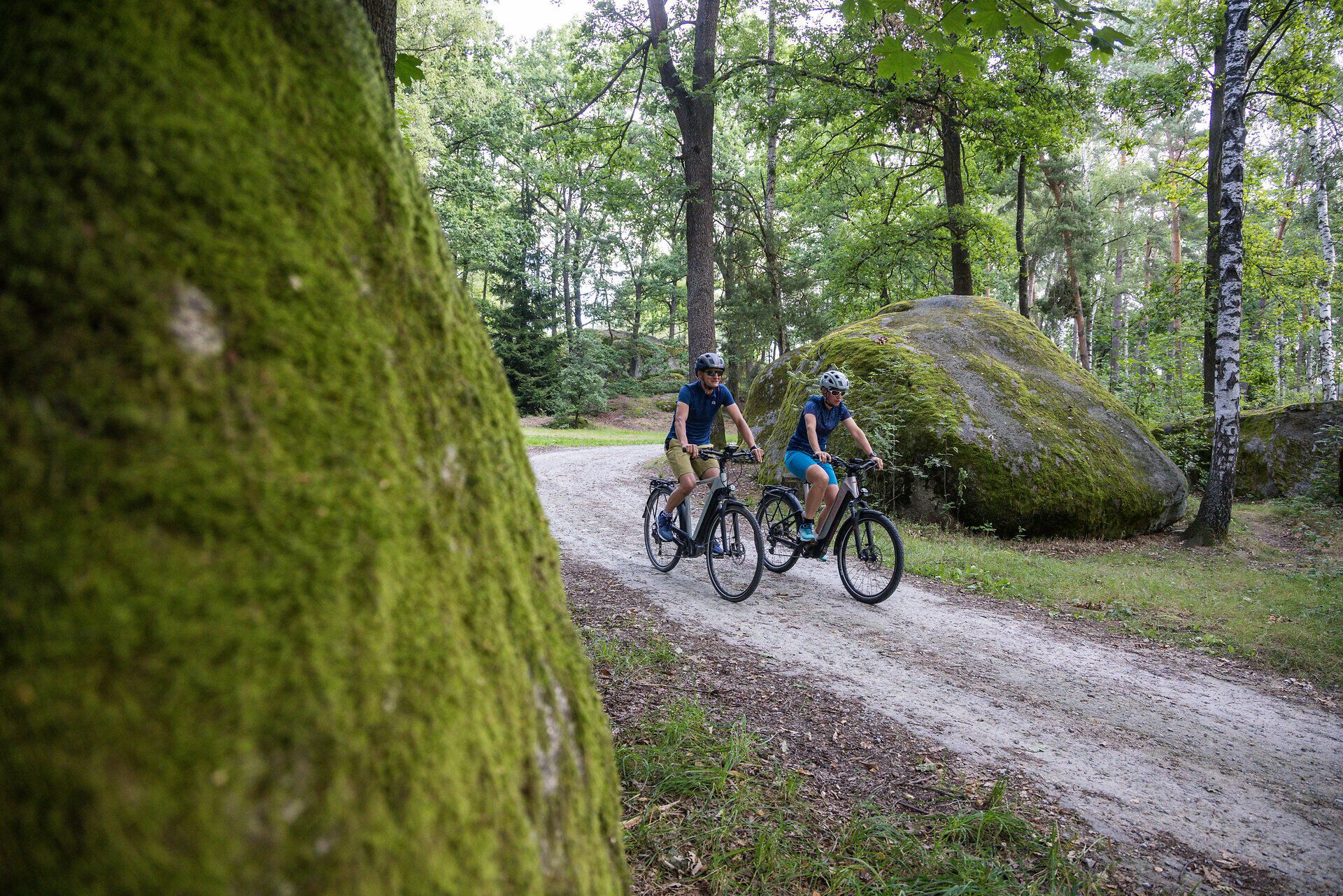 Two cyclists glide relaxed on a narrow path through the lush forest, surrounded by majestic rocks and the fresh air of the nature park. The gentle rays of sunlight penetrate the canopy and create an inviting atmosphere for adventure seekers and nature lovers.
