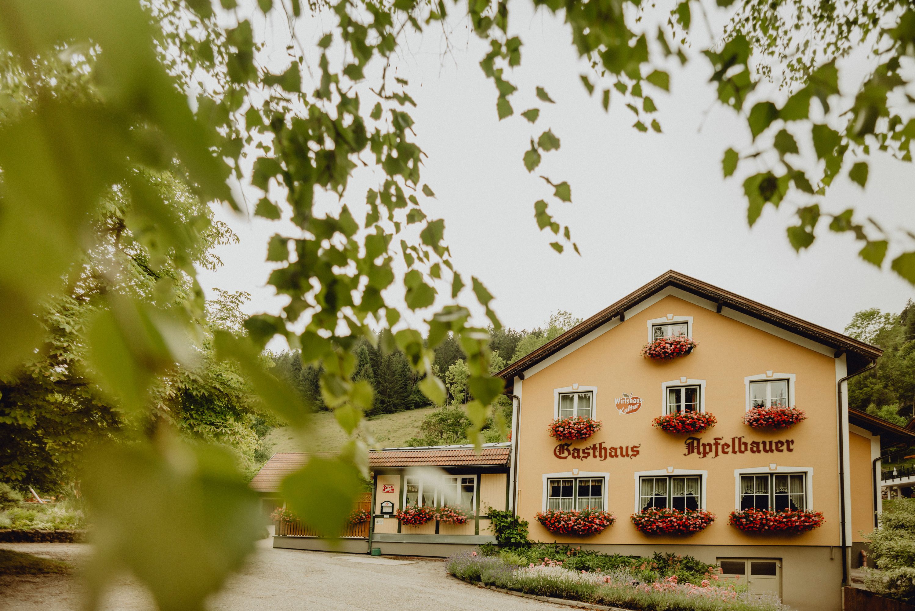 A traditional inn with a yellow façade and flower boxes in front of the windows, surrounded by green trees.