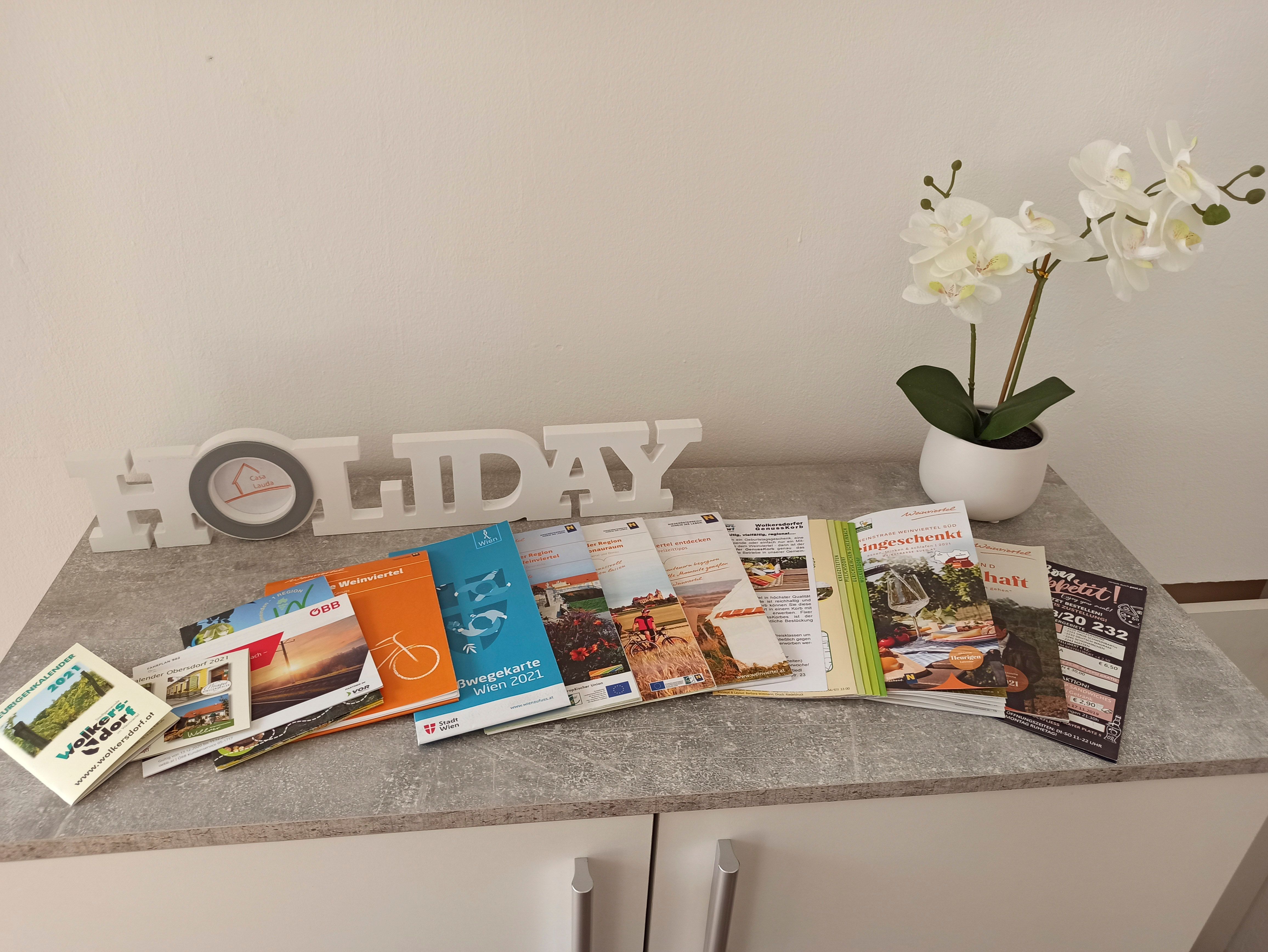 A table with brochures, "HOLIDAY" lettering and a white orchid in a pot.