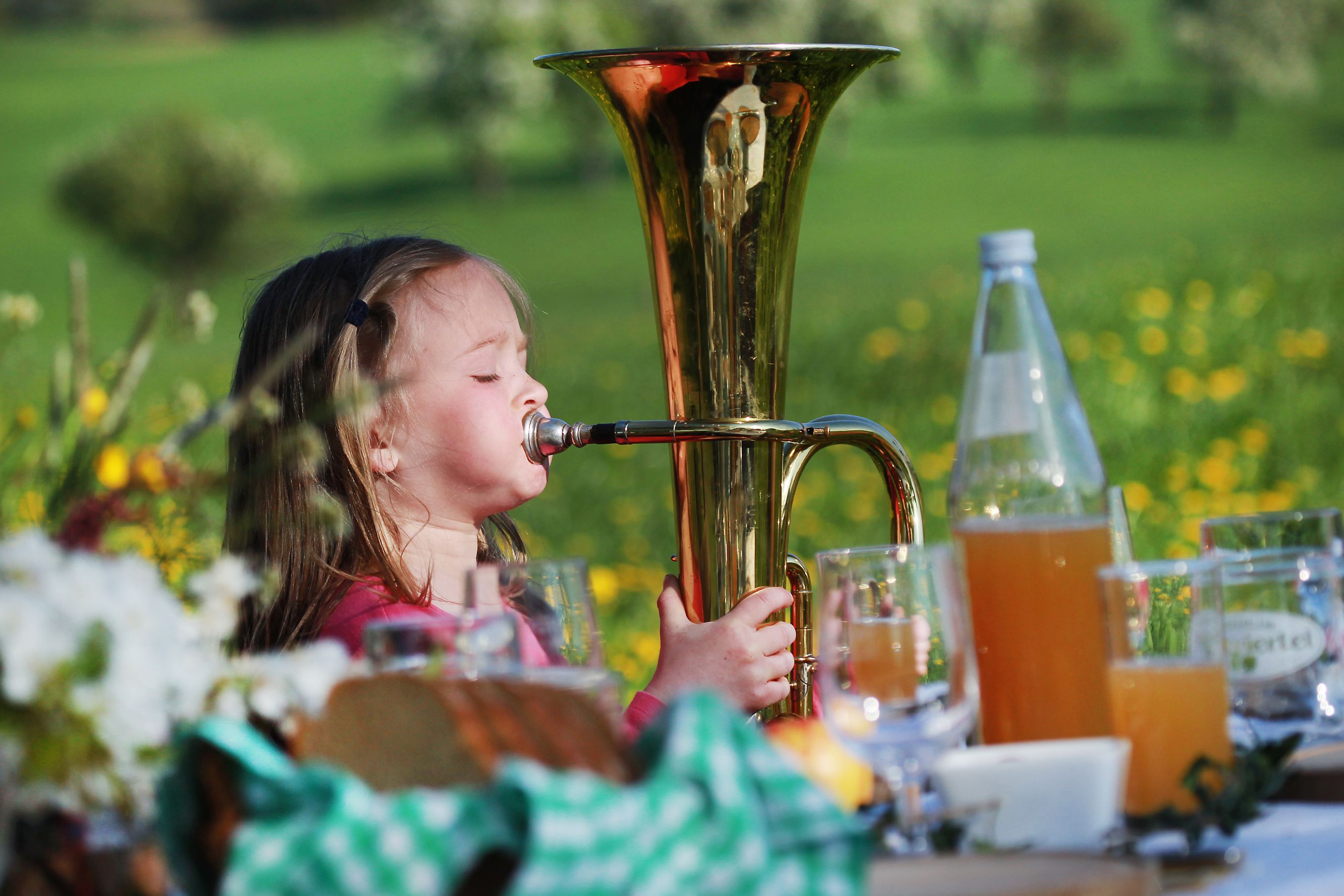 A little girl plays a tuba on a meadow, surrounded by drinks and flowers.