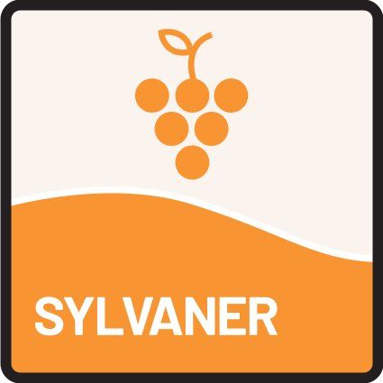 Pikto Sylvaner