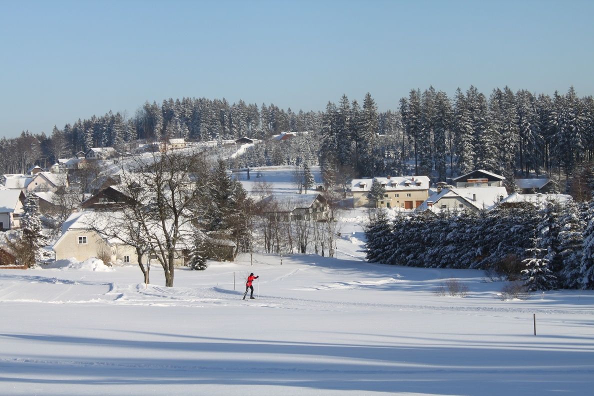Cross-country skiing in Bärnkopf - local trail 1