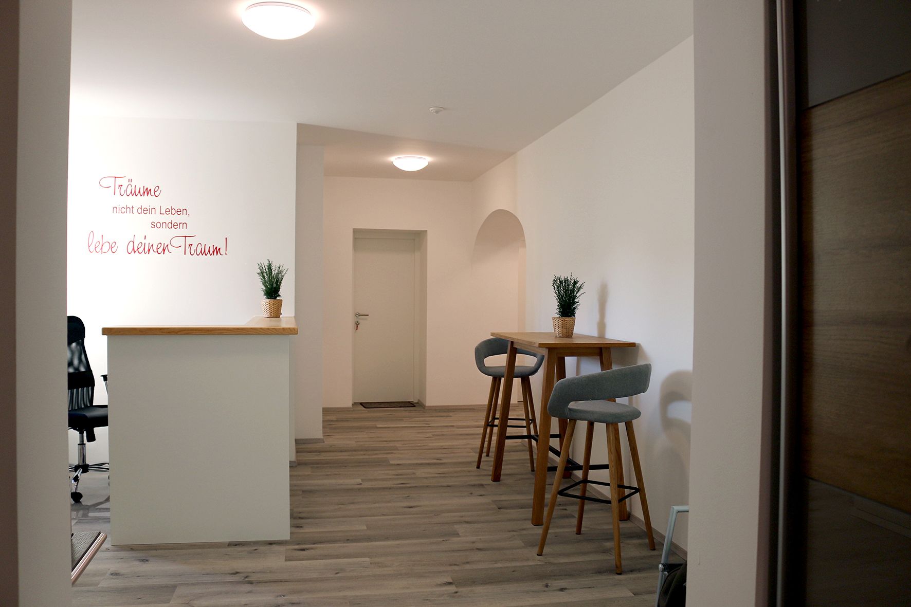 Modern interior with bar stools and plants on a table.