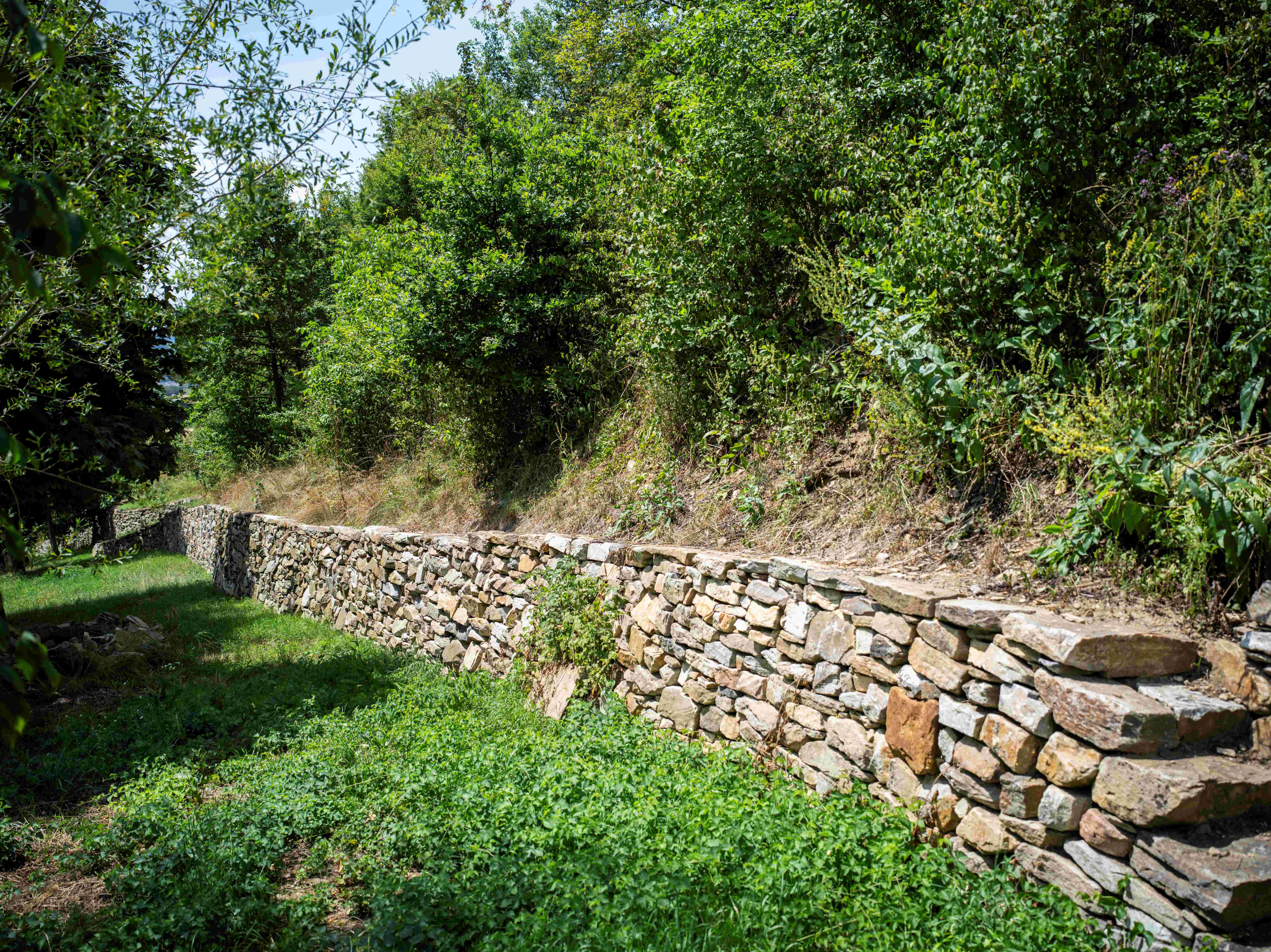 A long, low stone wall runs along an overgrown slope with trees and bushes.