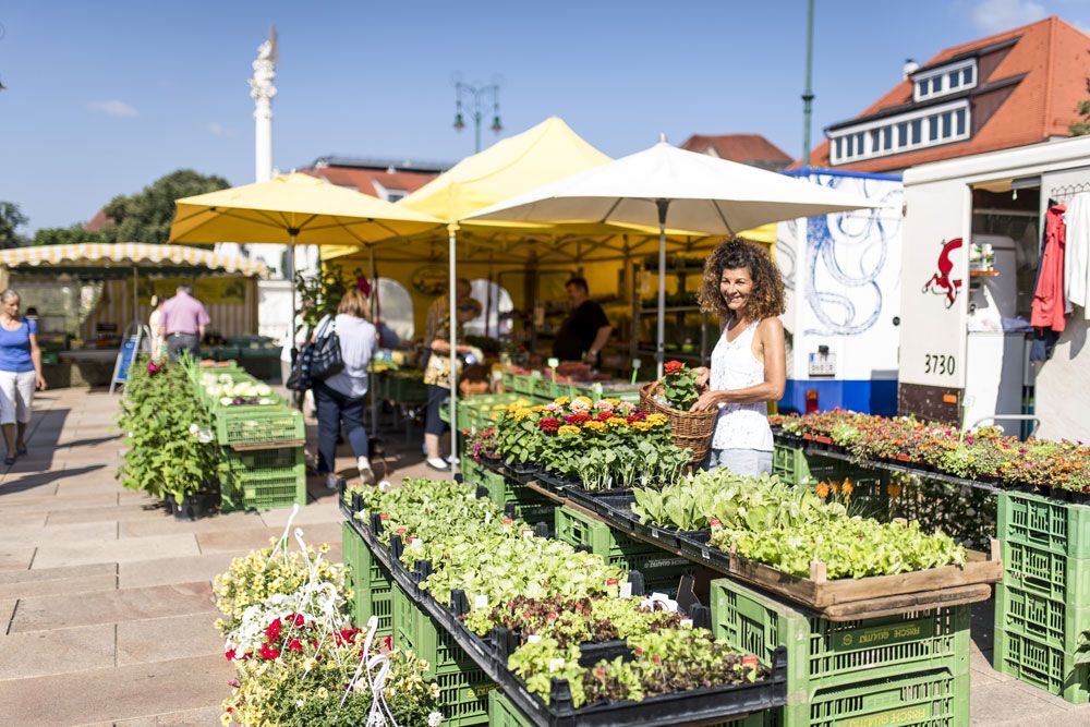 Woman at a market with flowers and plants.
