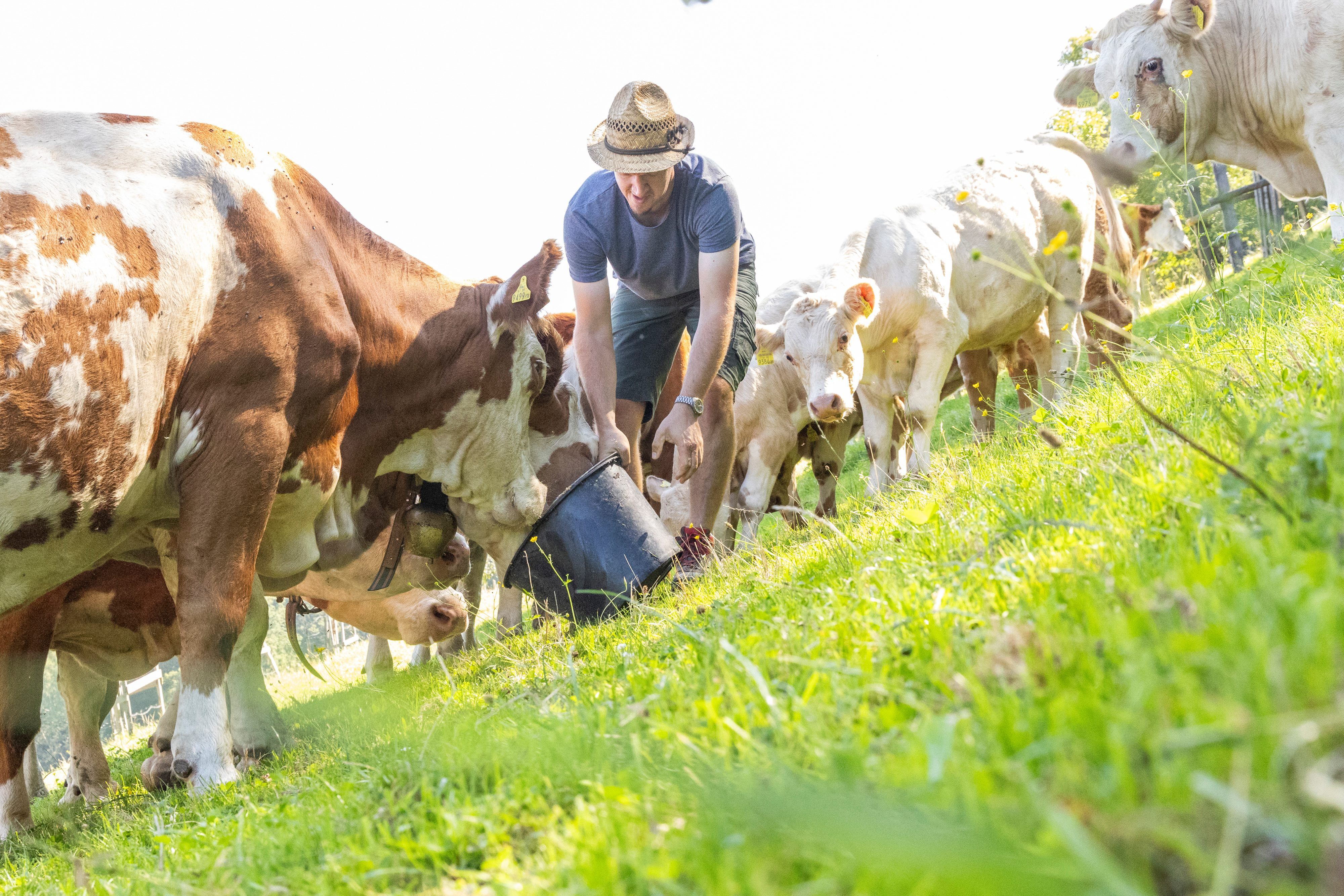 Organic farm Phyrabauer