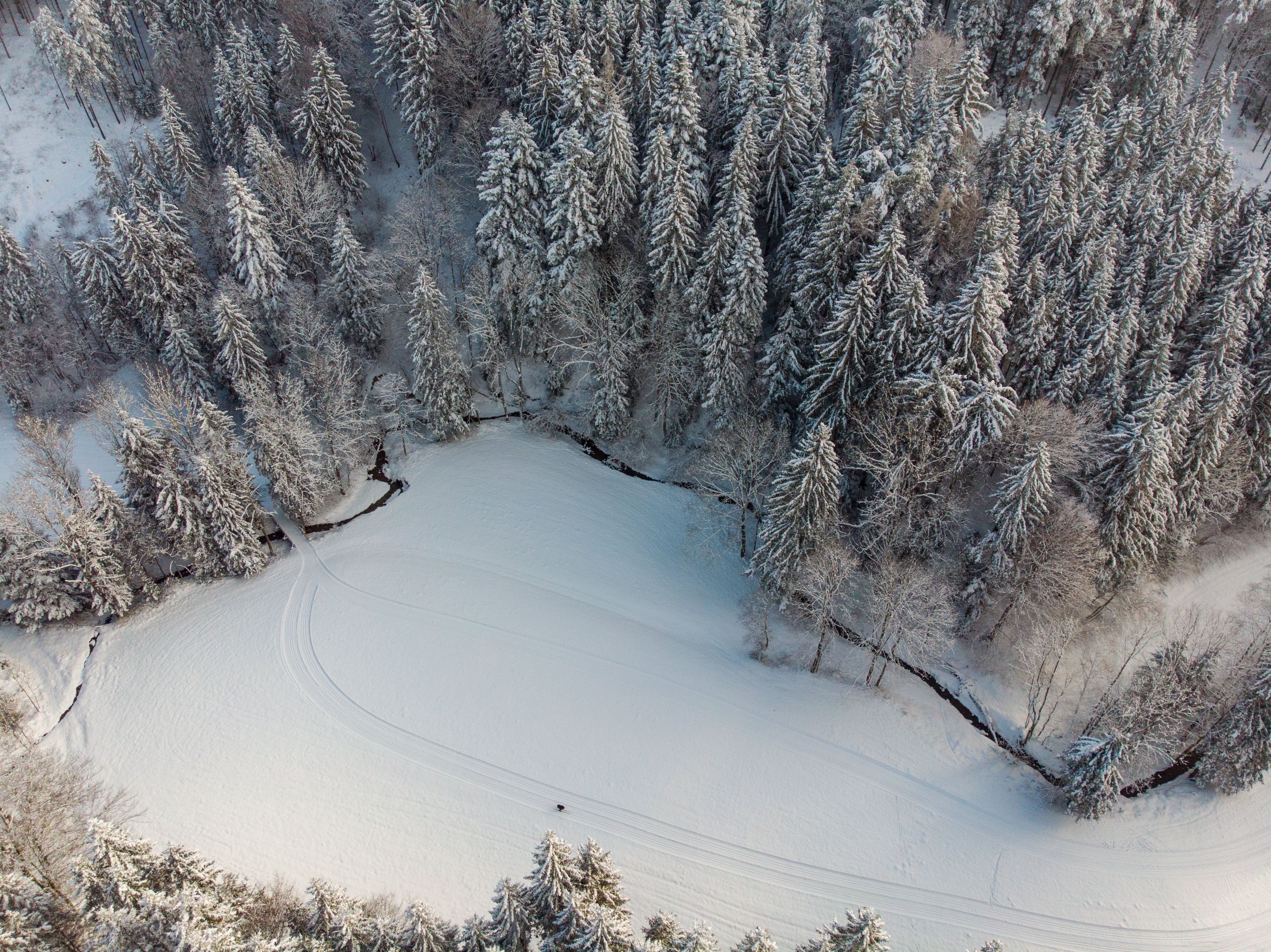Aerial view of a snow-covered forest landscape with a cross-country ski trail, next to it a stream meanders through the landscape
