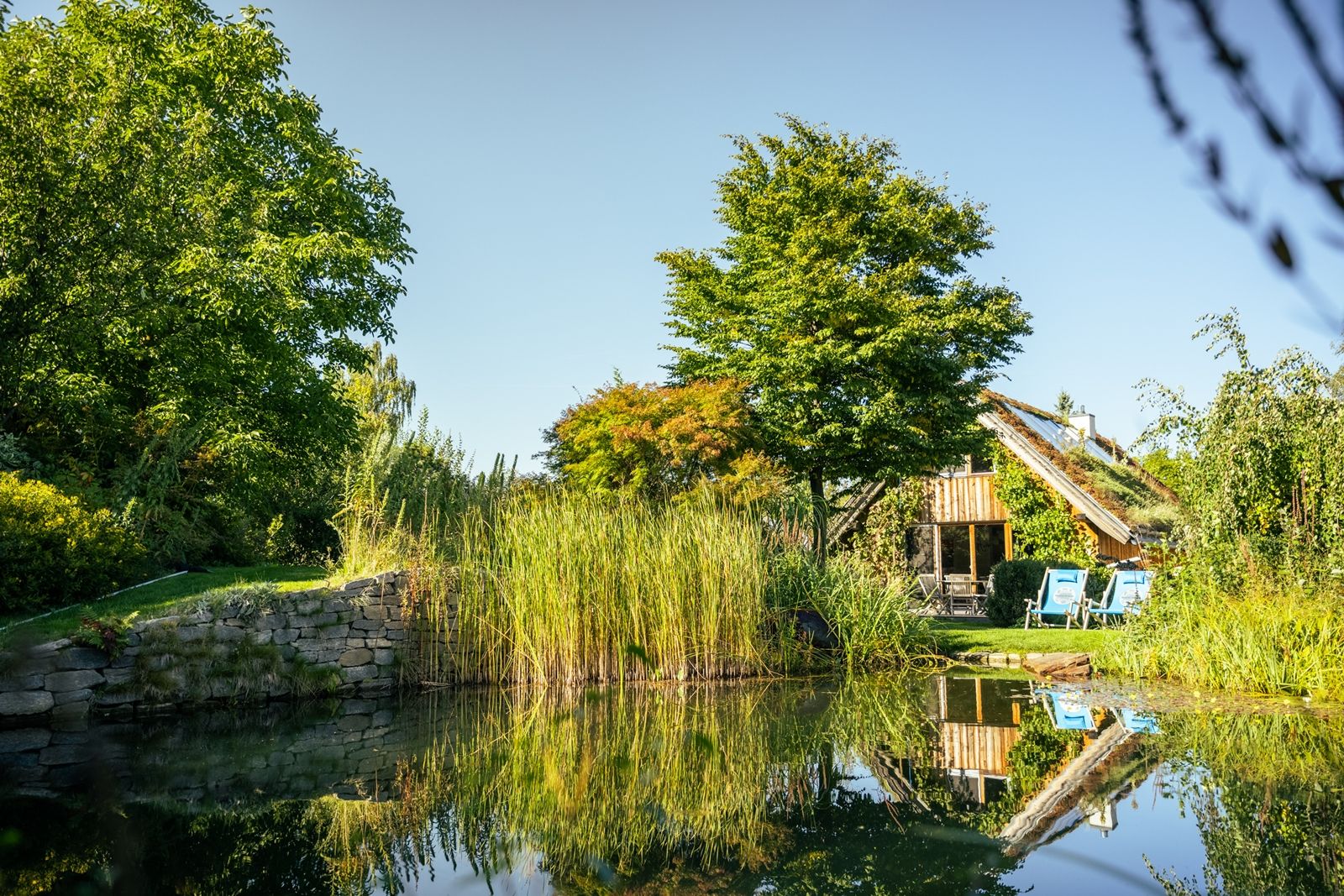 A vacation home with a wooden façade and green roof, surrounded by trees and a pond with reeds, under a blue sky.