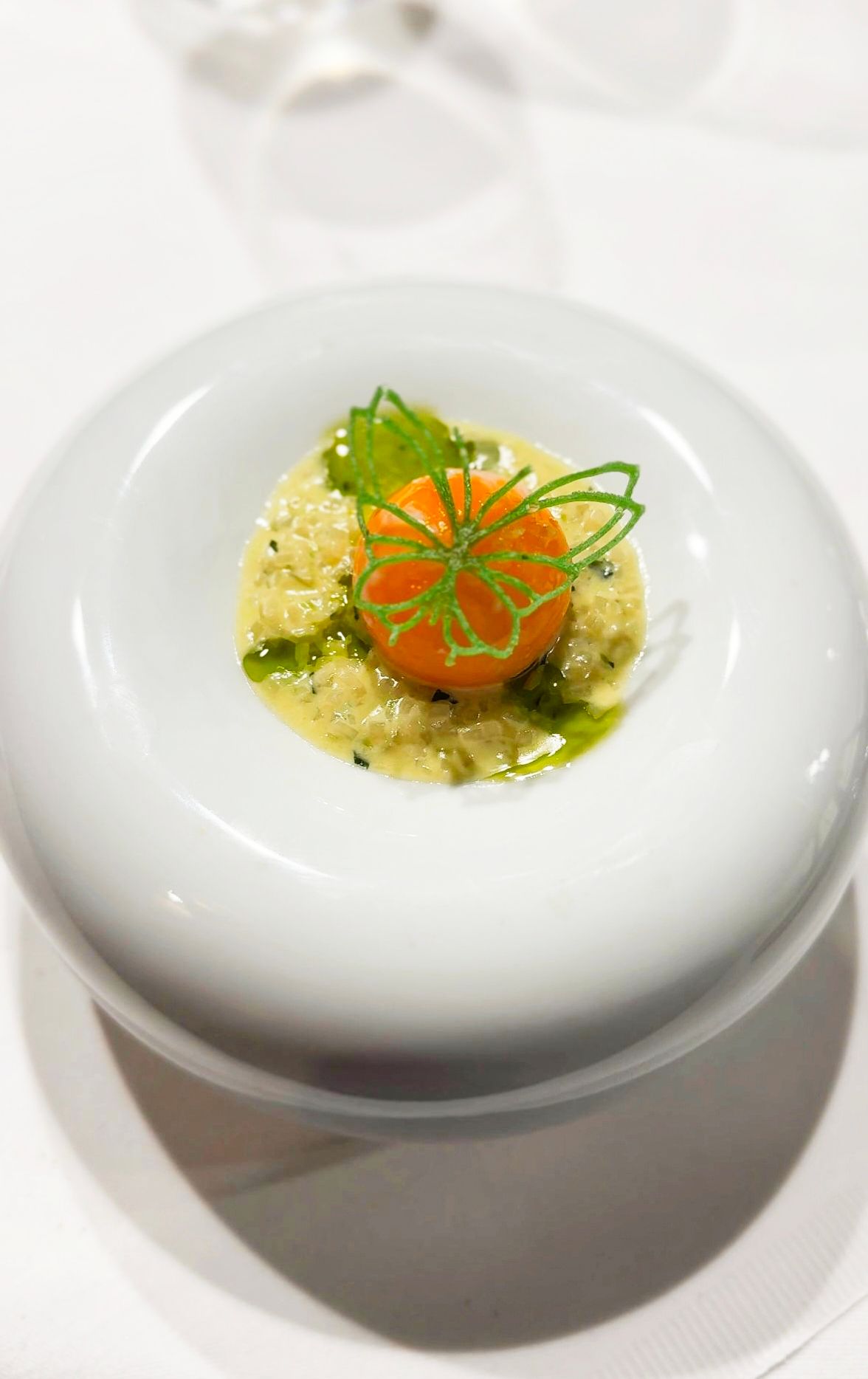 An elegant dish on a white plate, consisting of an orange ball on a creamy sauce, garnished with green leaves.