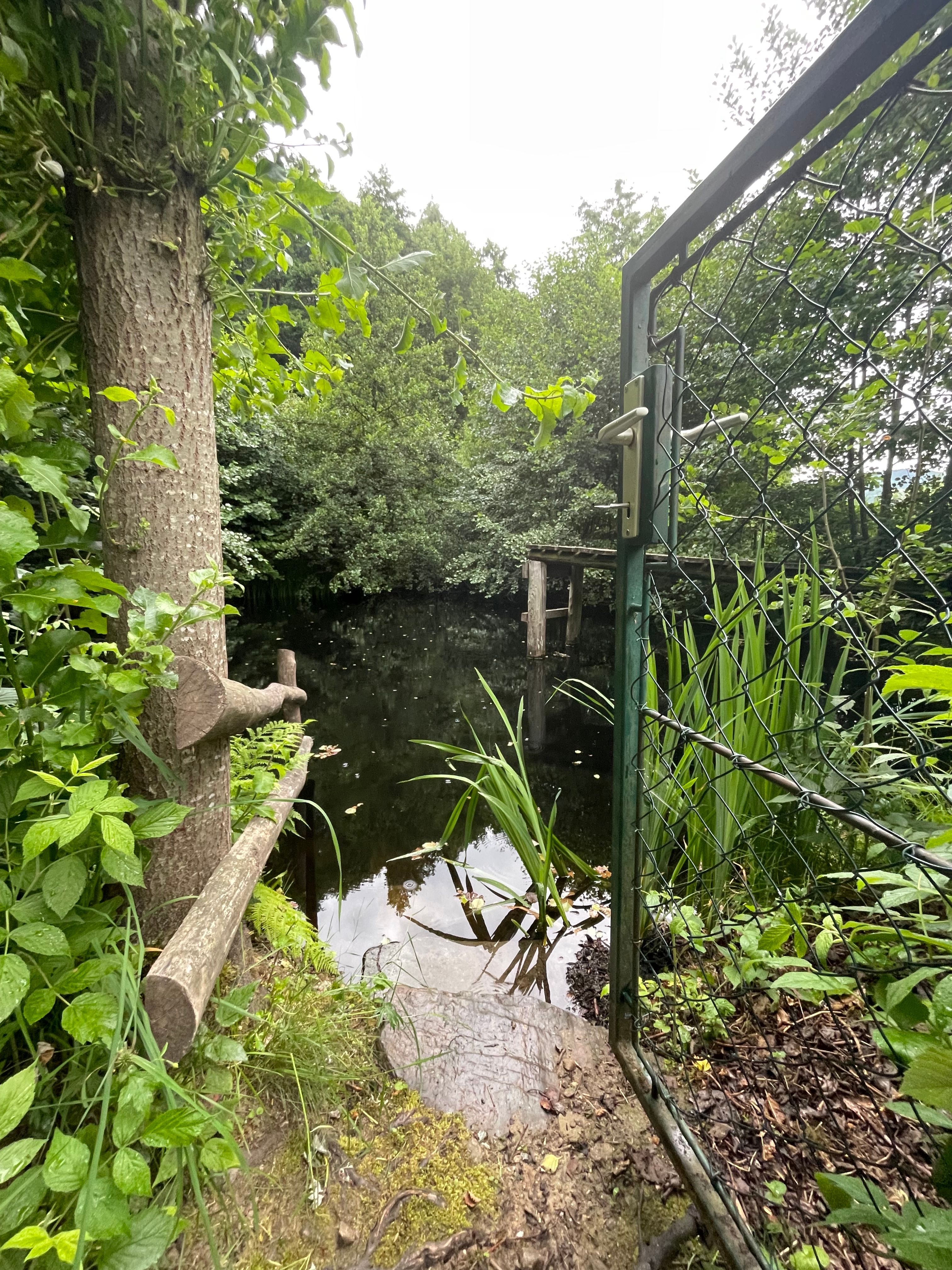 Private natural swimming pond above the vacation apartment