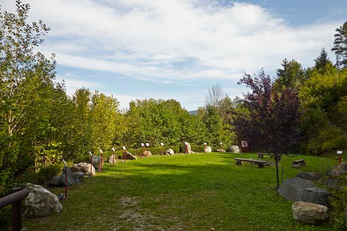 Green meadow with trees and stones in the Aspang Geopark.