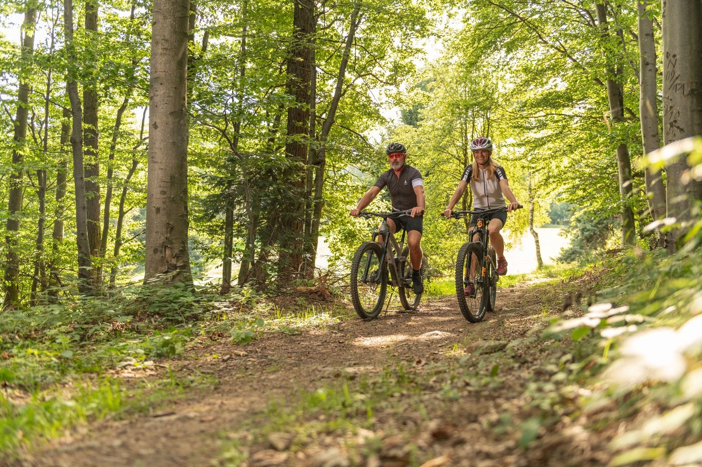 Two people are riding mountain bikes on a forest path in the Vienna Woods.
