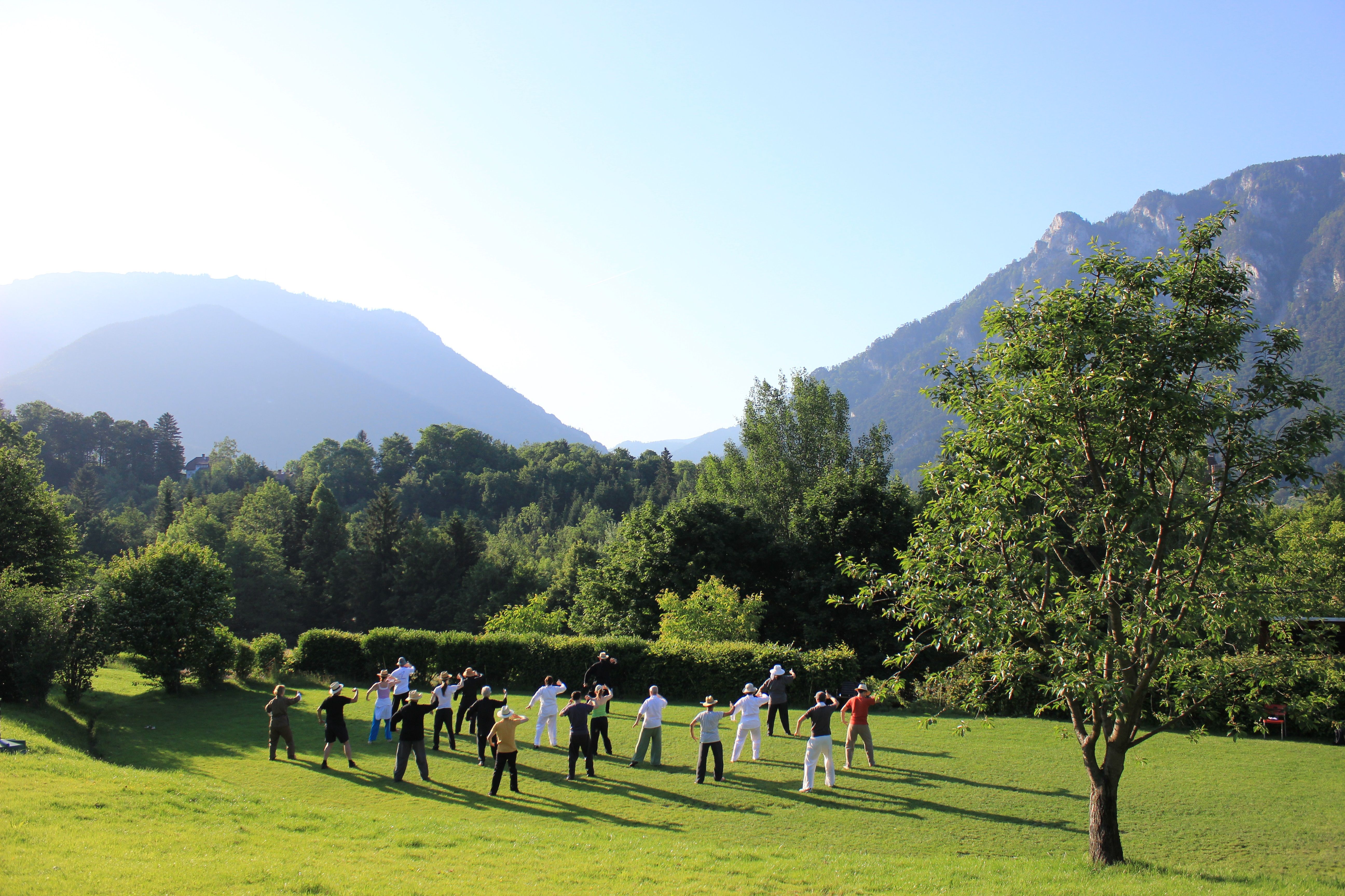 Group of people doing Tai Chi in a meadow against a mountain backdrop.