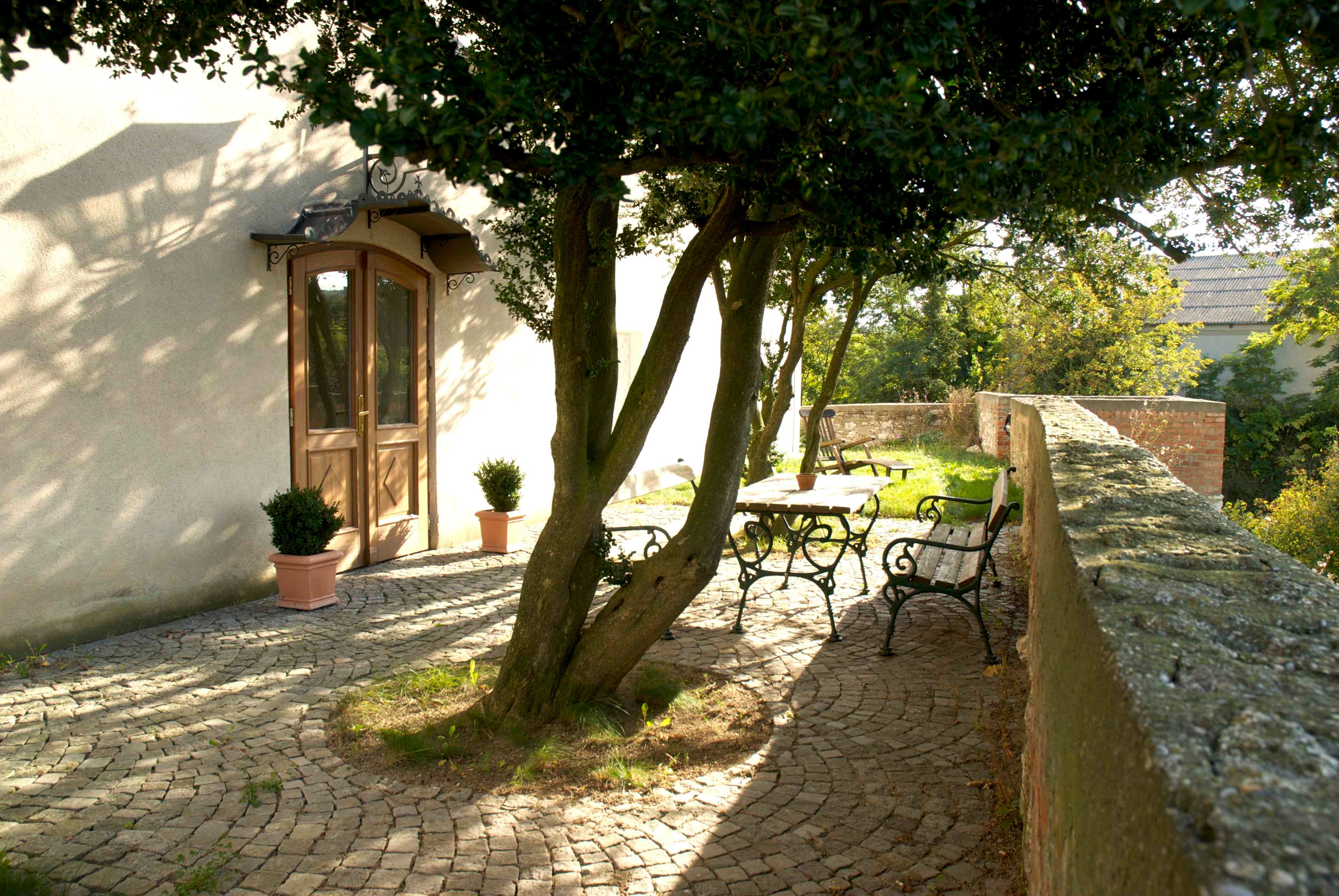Sunny terrace with trees, wooden table and benches on cobblestones.
