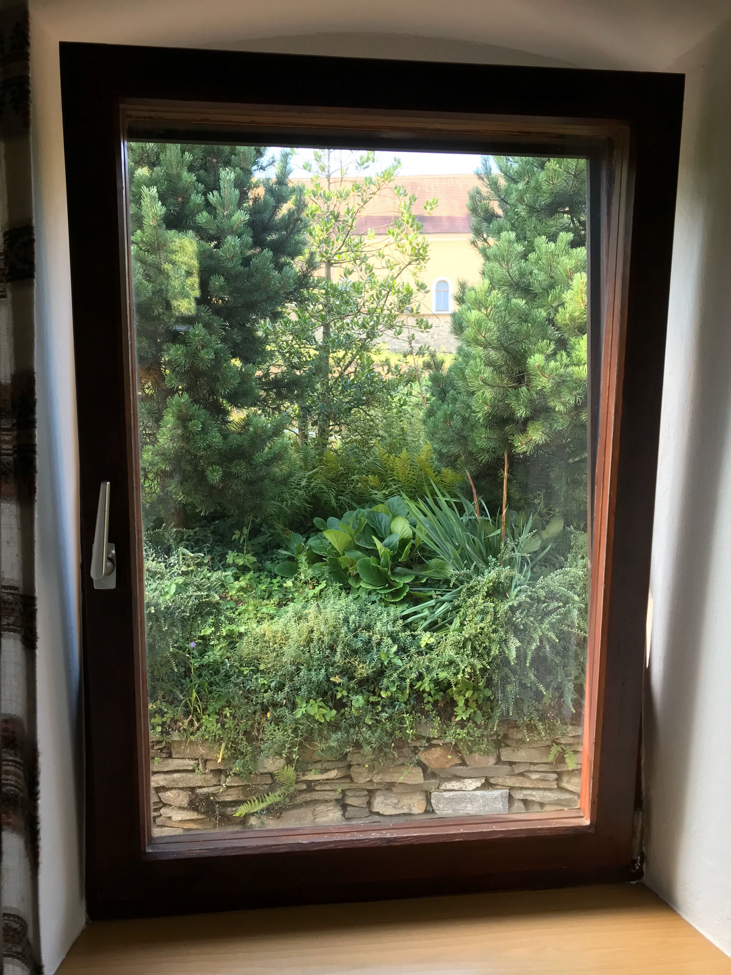 View from the parlor window 