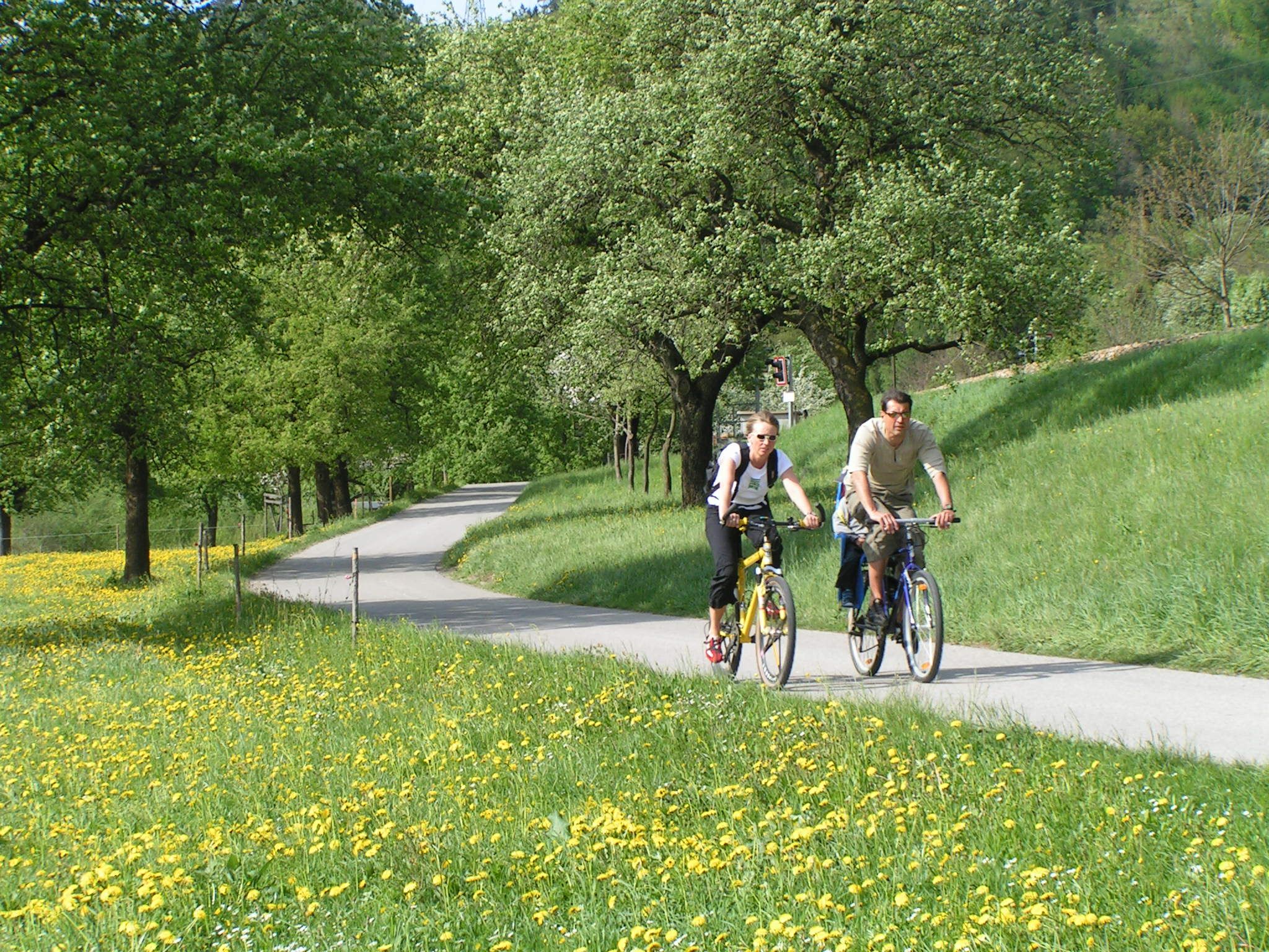 Two cyclists on a path in the countryside, surrounded by flowering meadows and trees.
