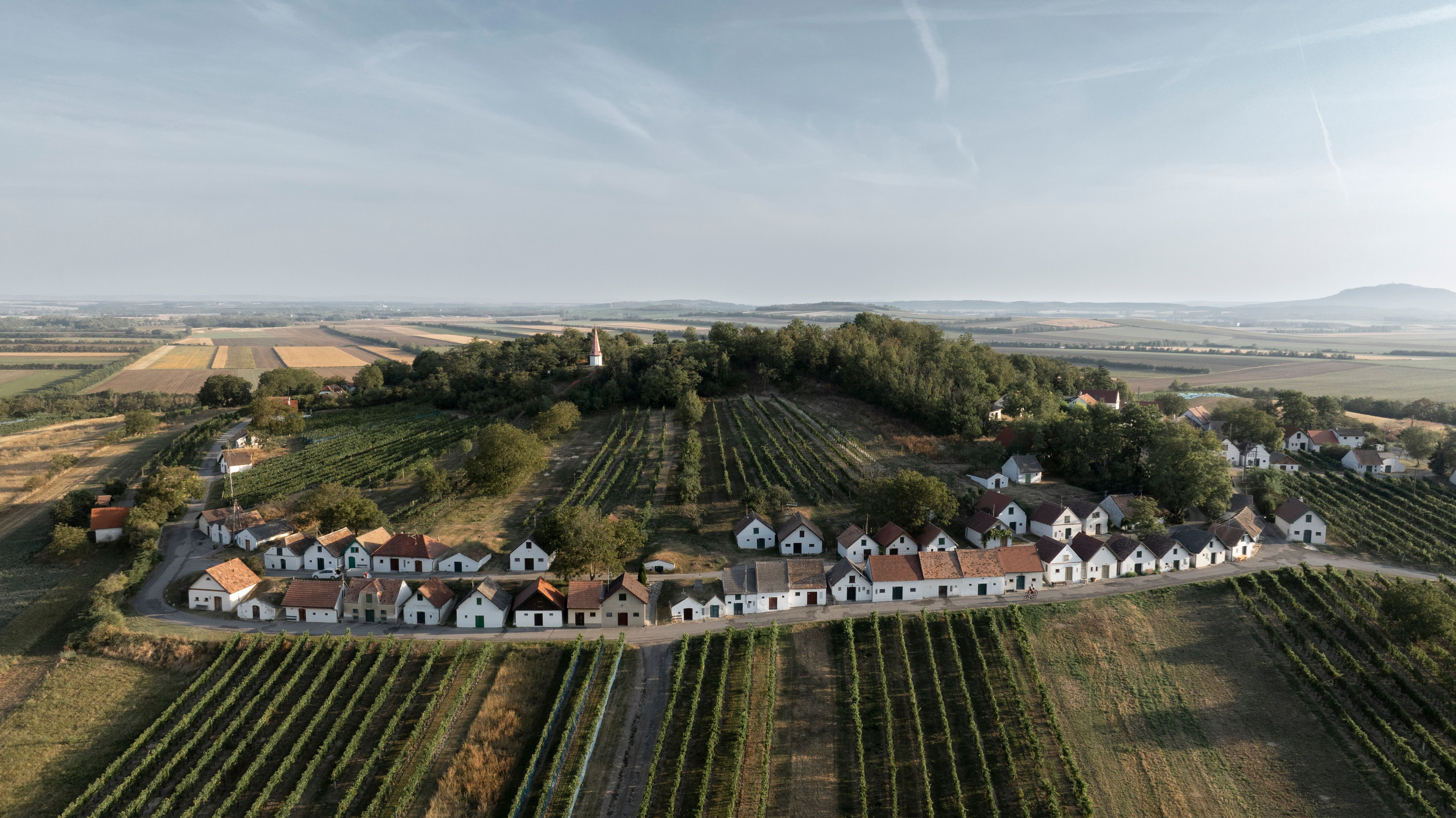 Aerial view of the Galgenberg wine cellar lane in Wildendürnbach, surrounded by vineyards at sunset.